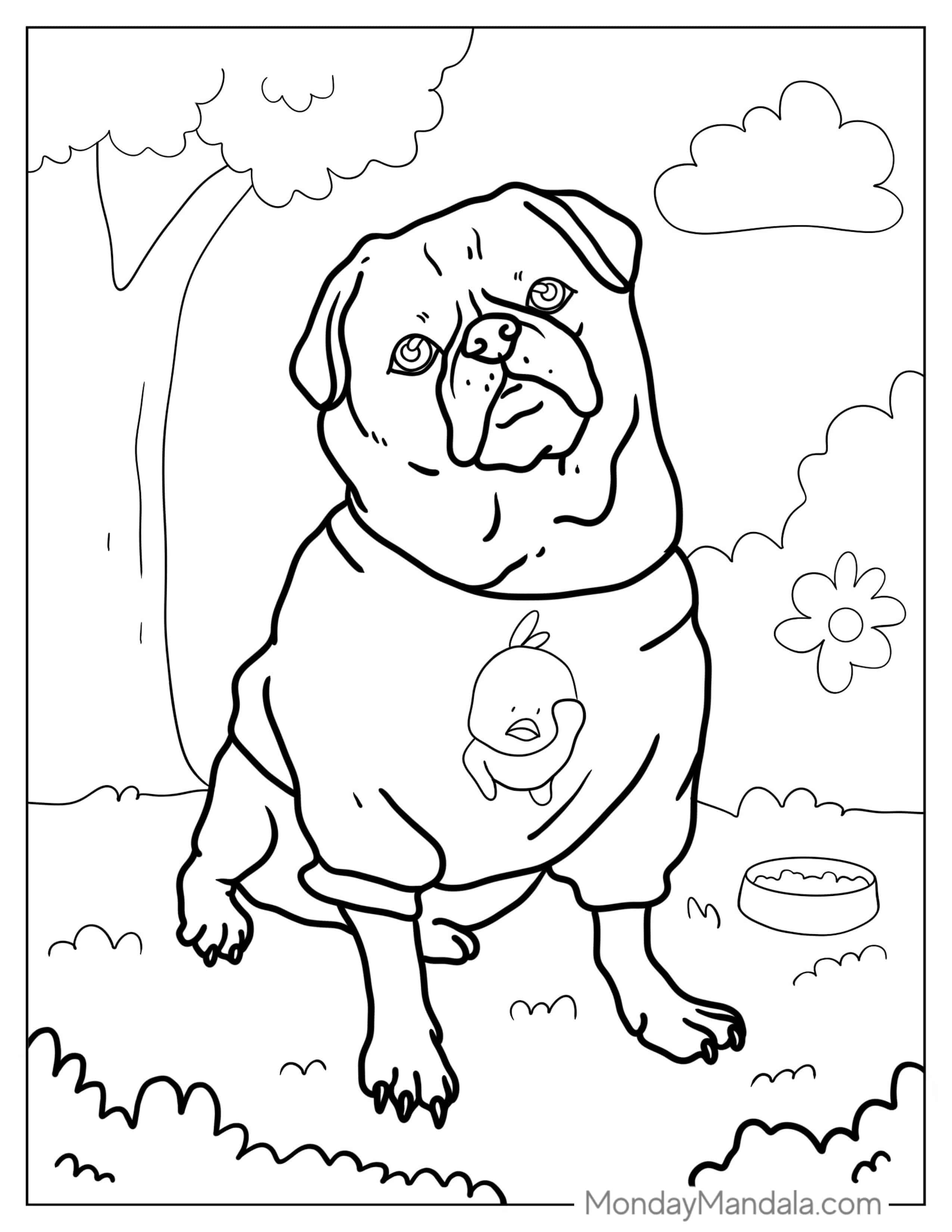 Cute Pug Wearing a Sweater To Color coloring page