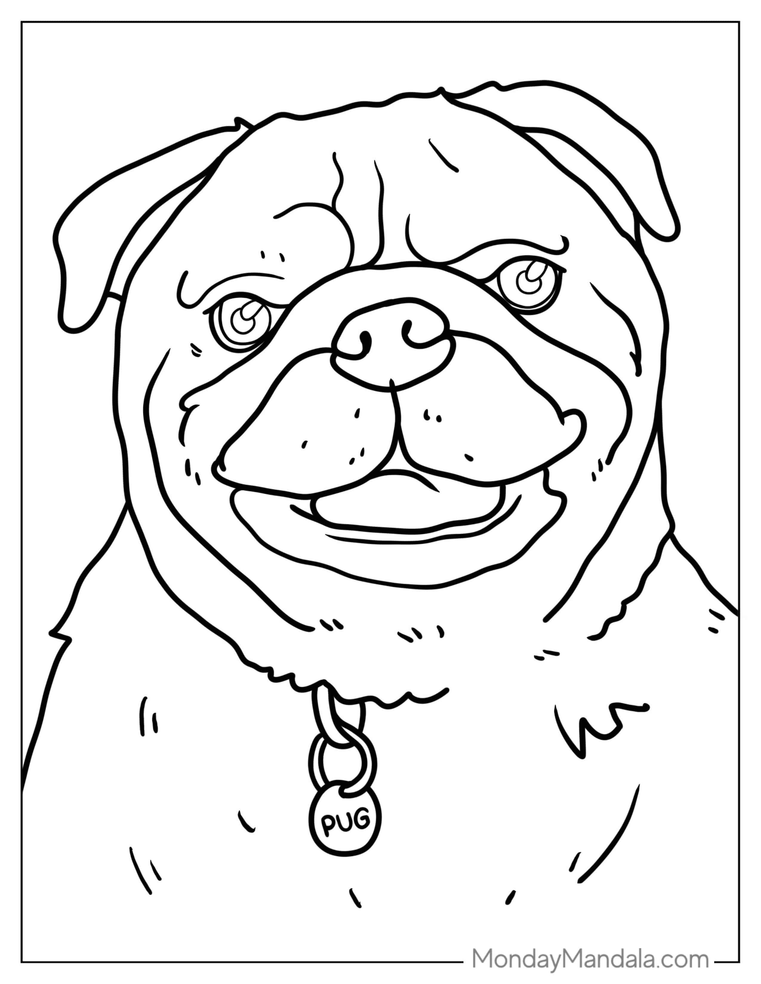 Detailed Pug Face Coloring Page coloring page