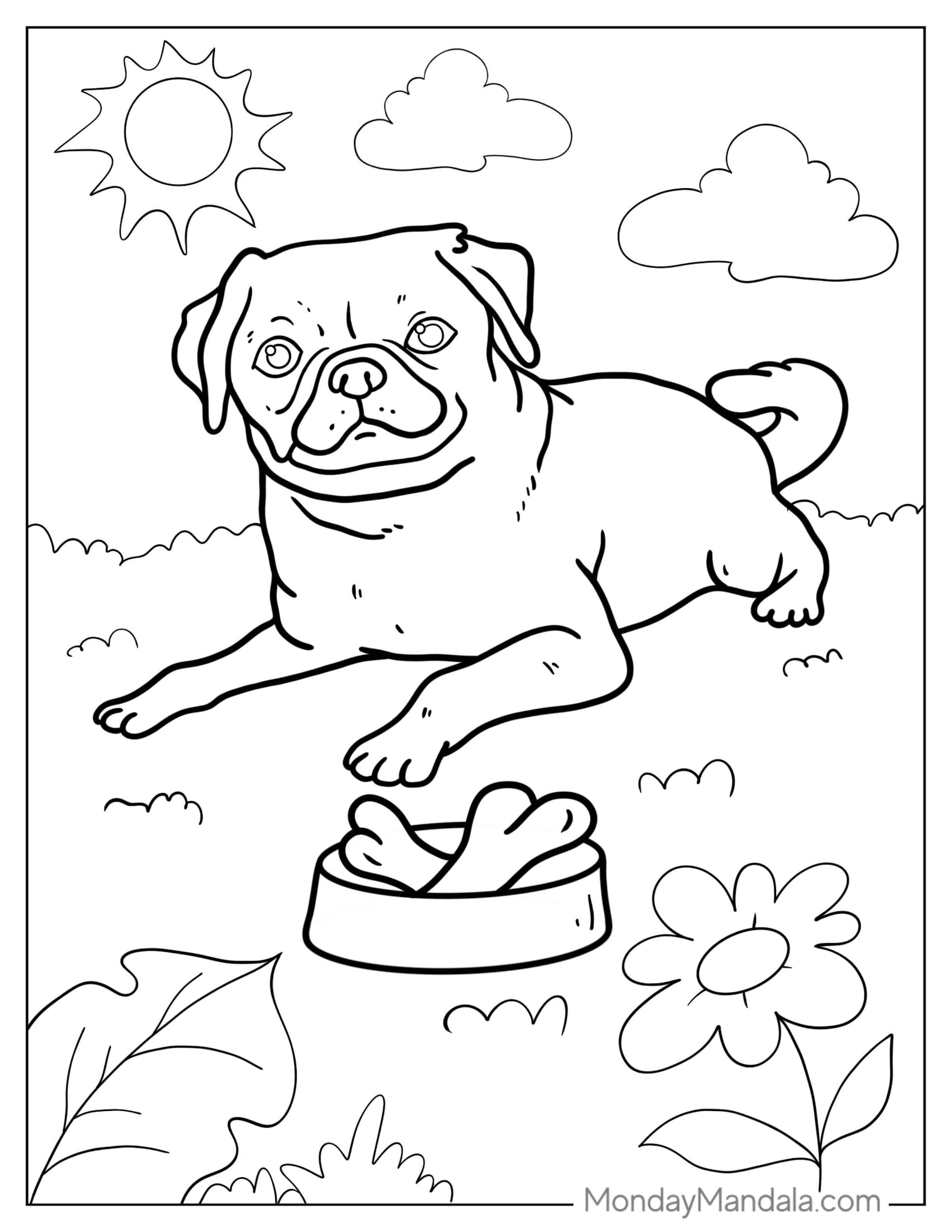 Happy Pug Resting In The Sun To Color coloring page
