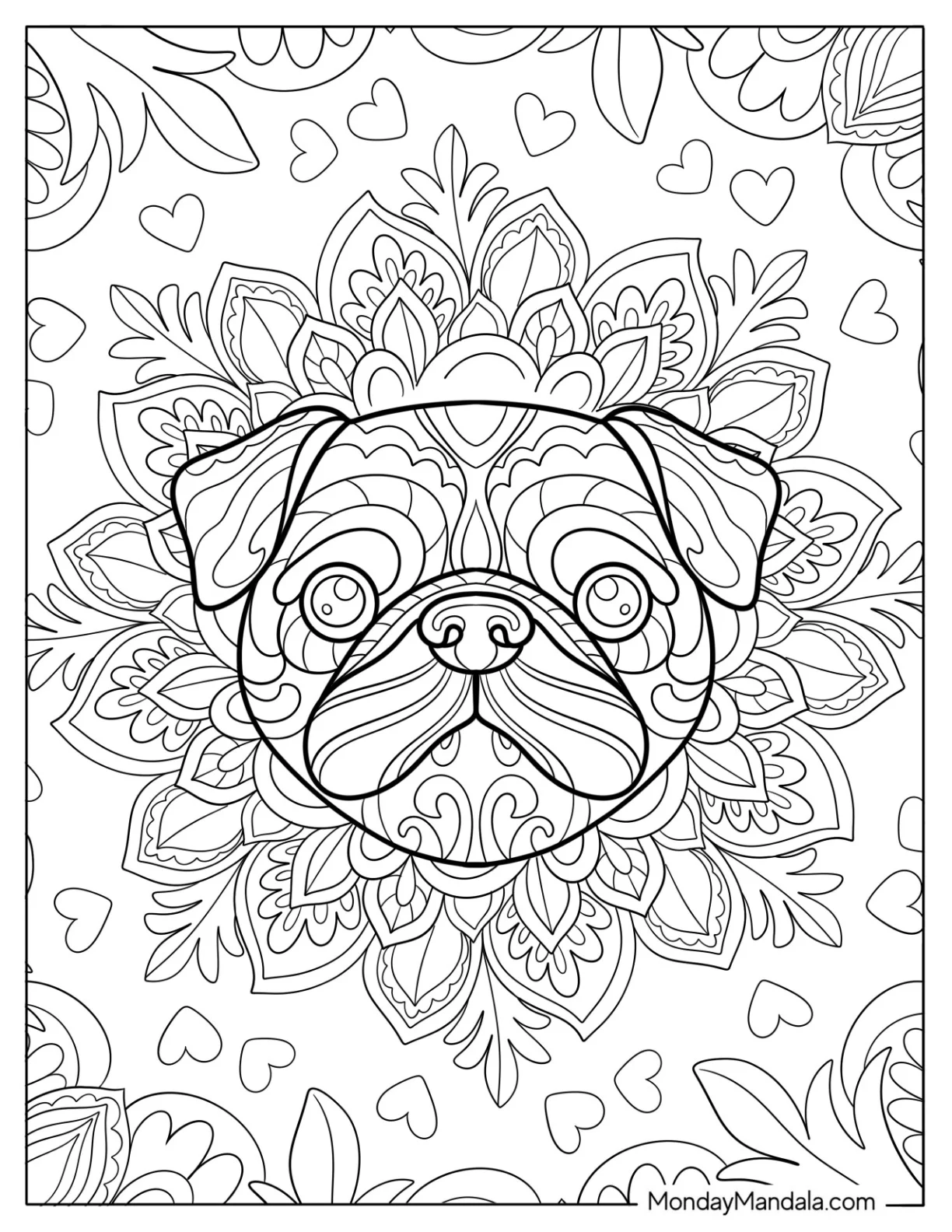 Intricate Mandala Pug Coloring Page Face For Adults coloring page
