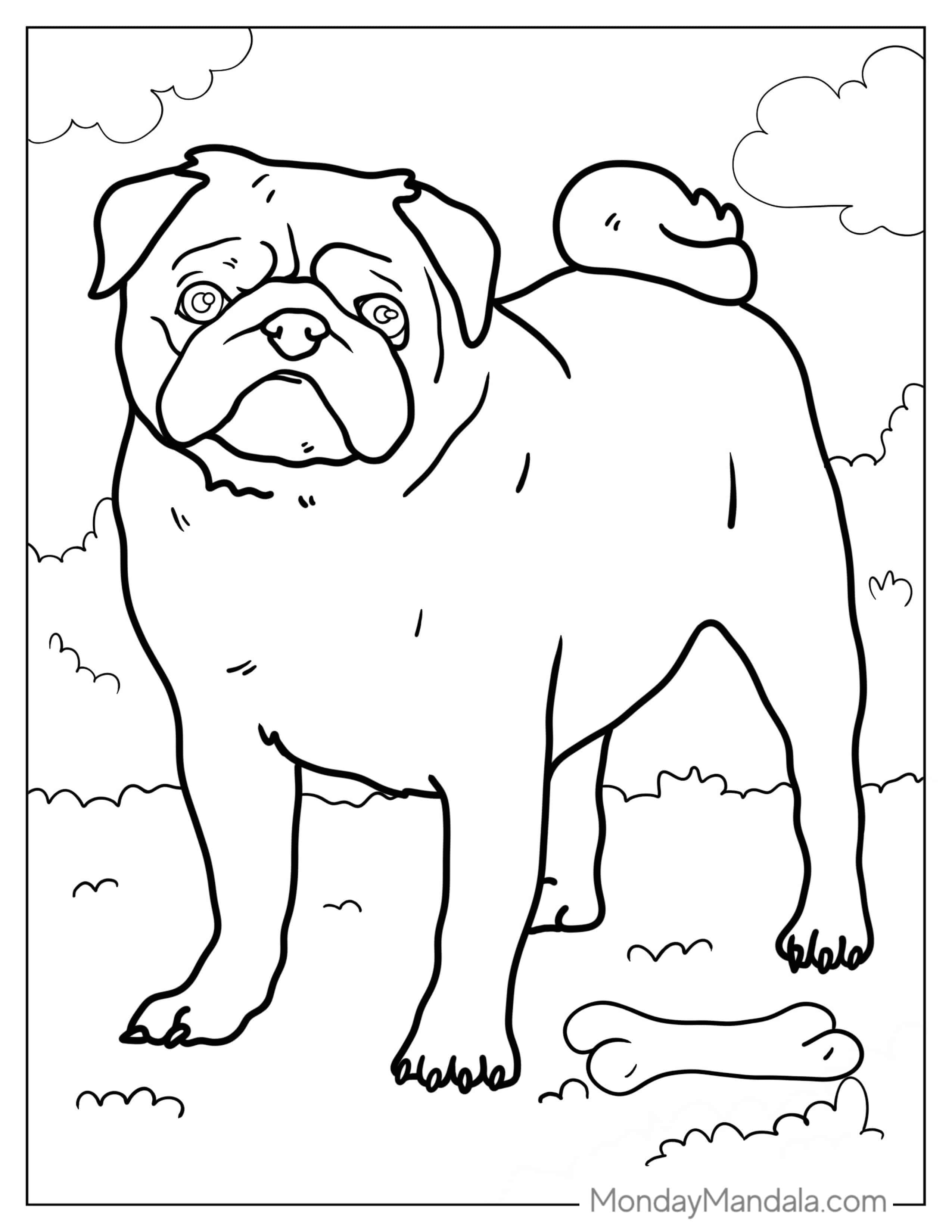 Pug In a Park With Bone To Color coloring page — printable line art