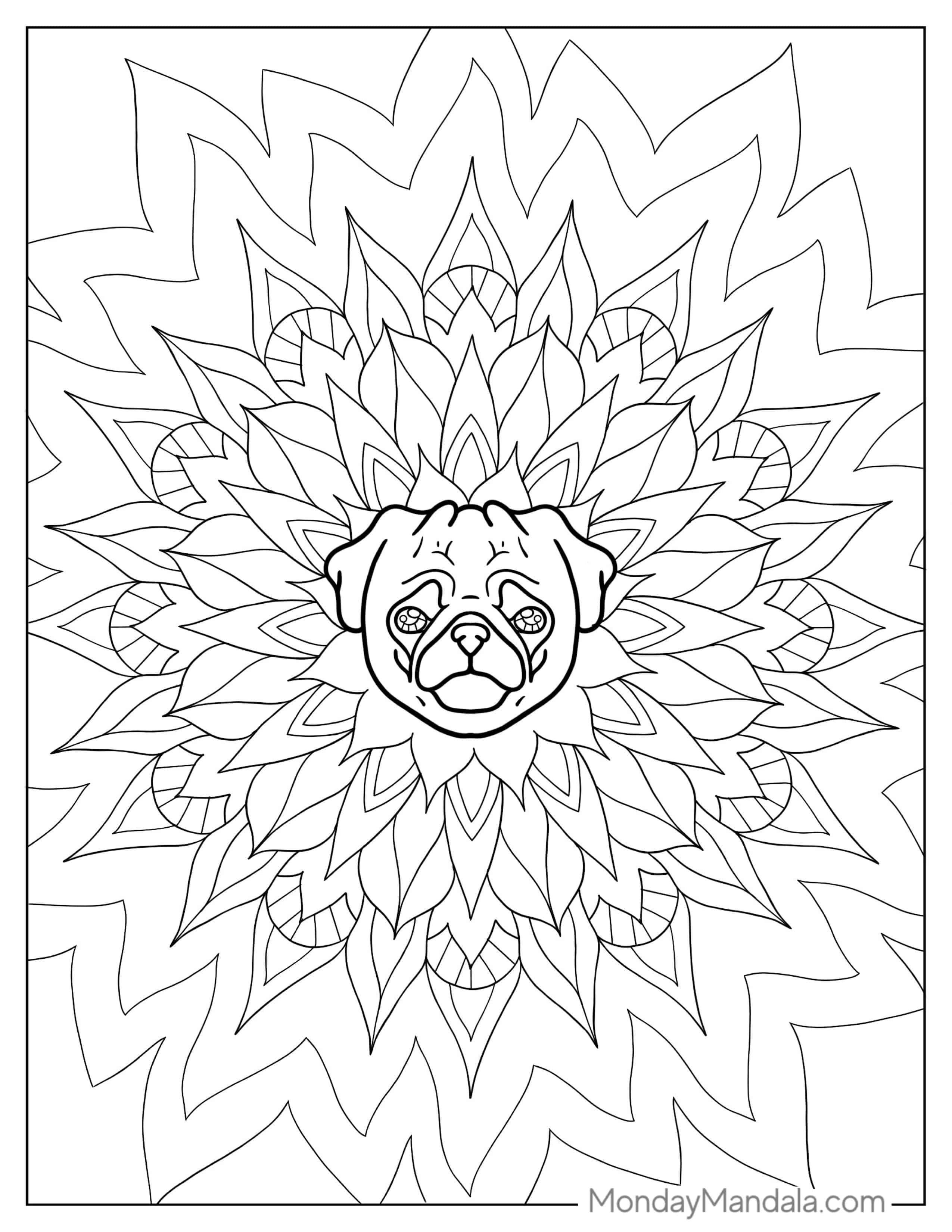 Pug Mandala Coloring Sheet coloring page