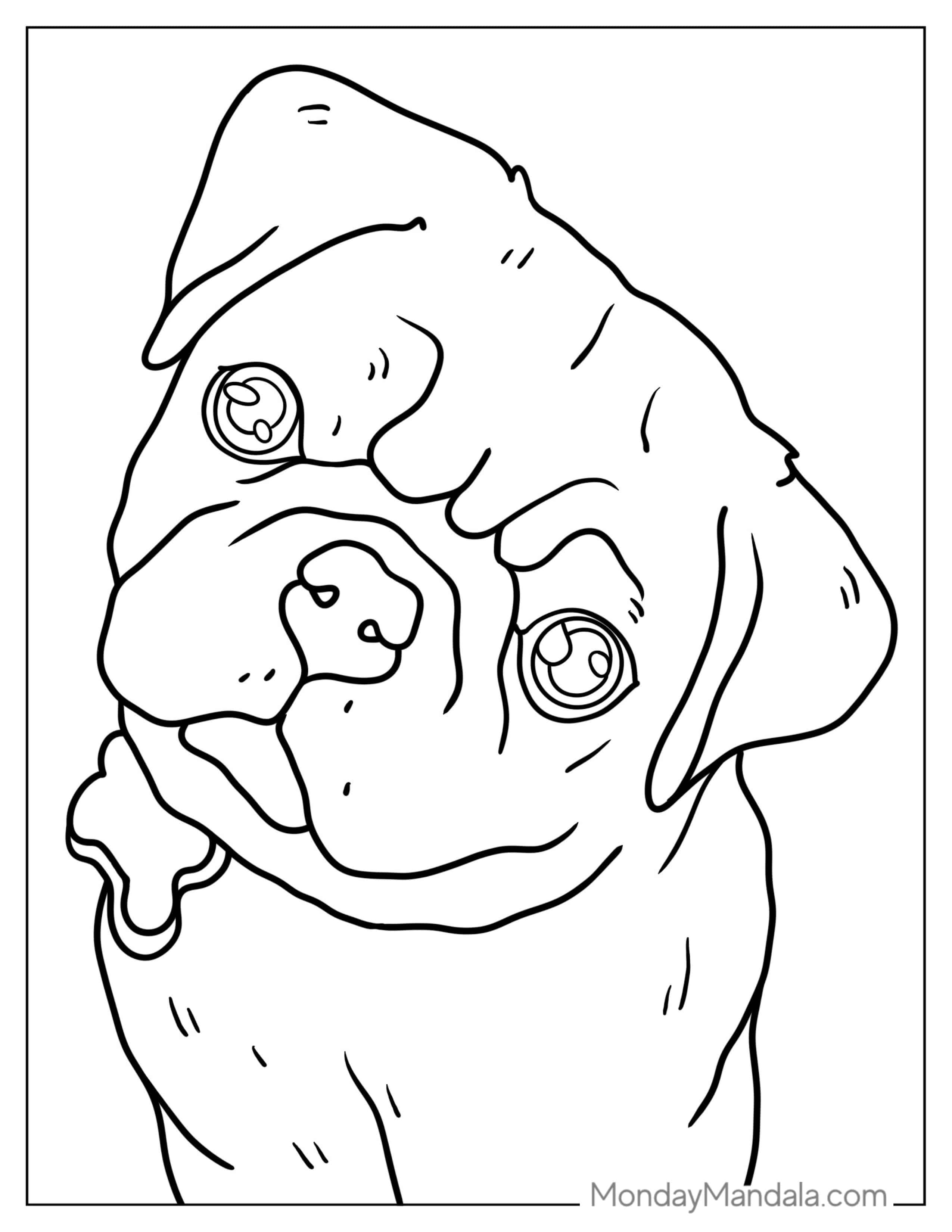 Pug With Cute Puppy Eyes To Color coloring page — printable line art