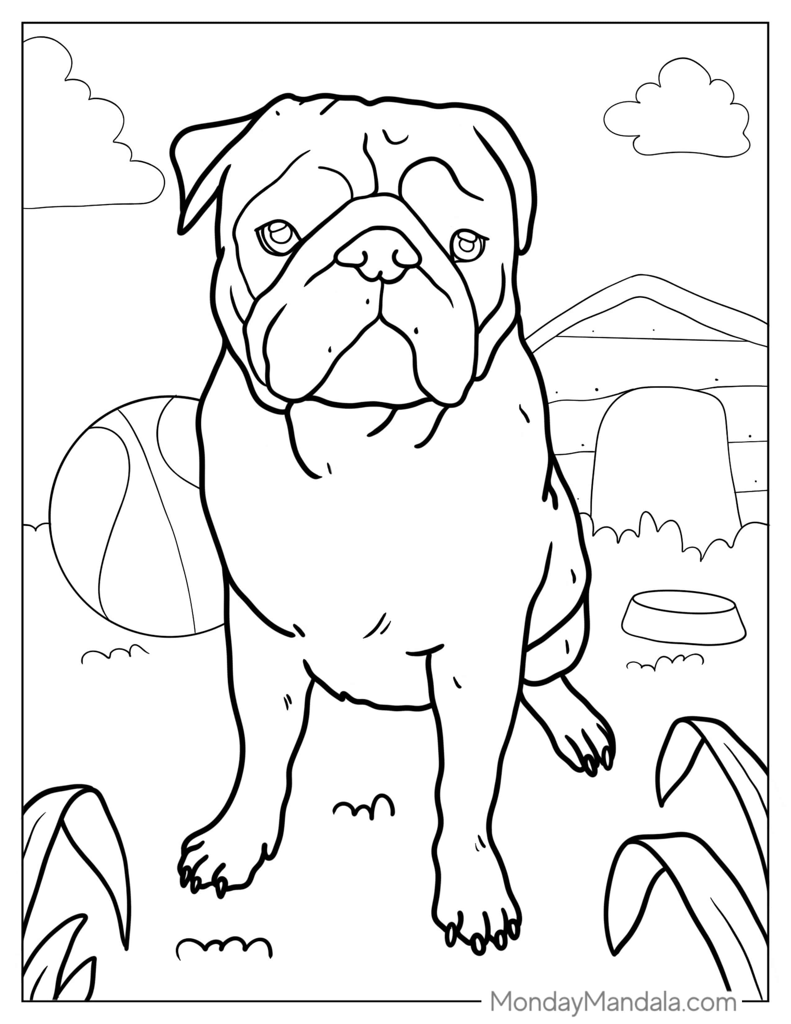 Realistic Looking Pug With Ball To Color coloring page — printable line art