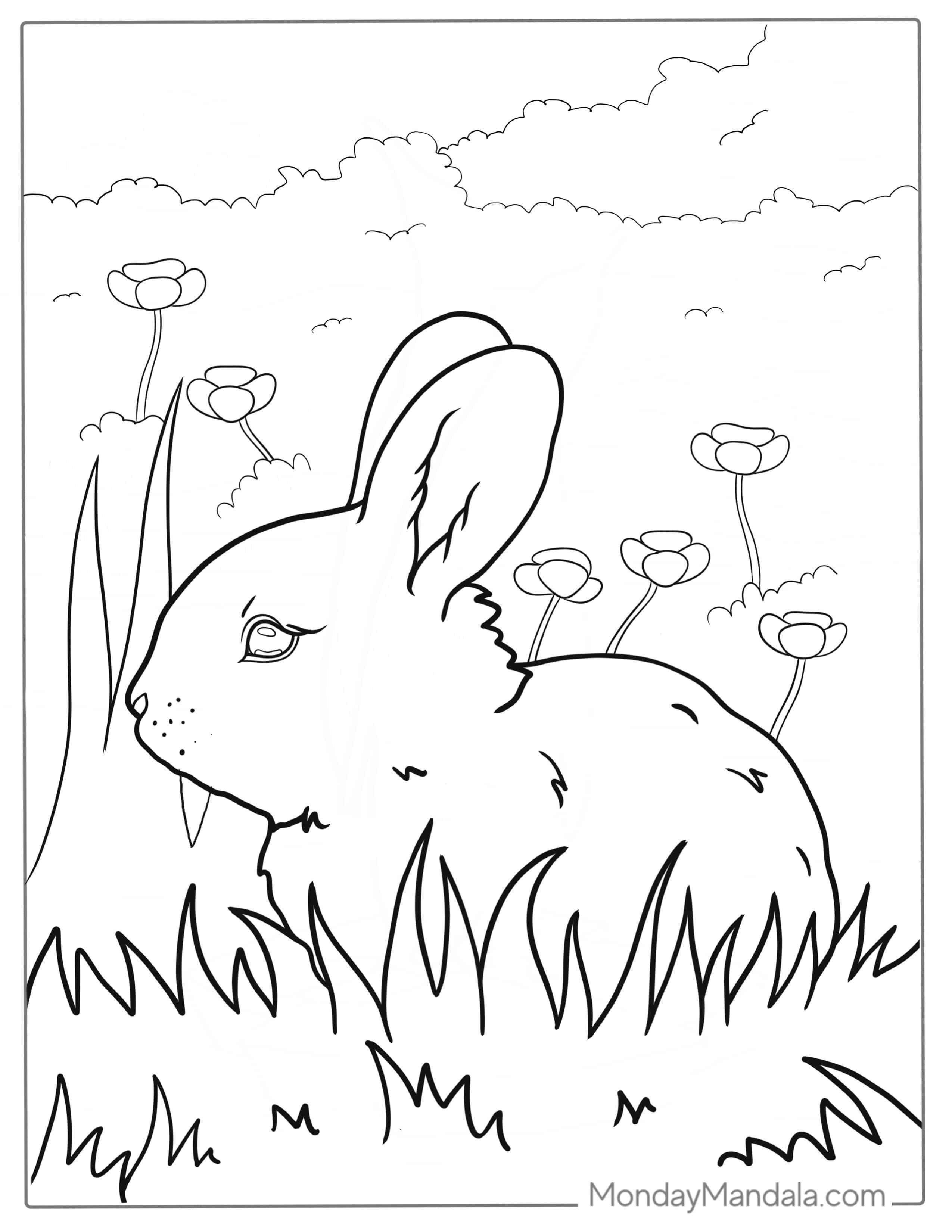Baby Rabbit Standing In Grass Coloring Page coloring page