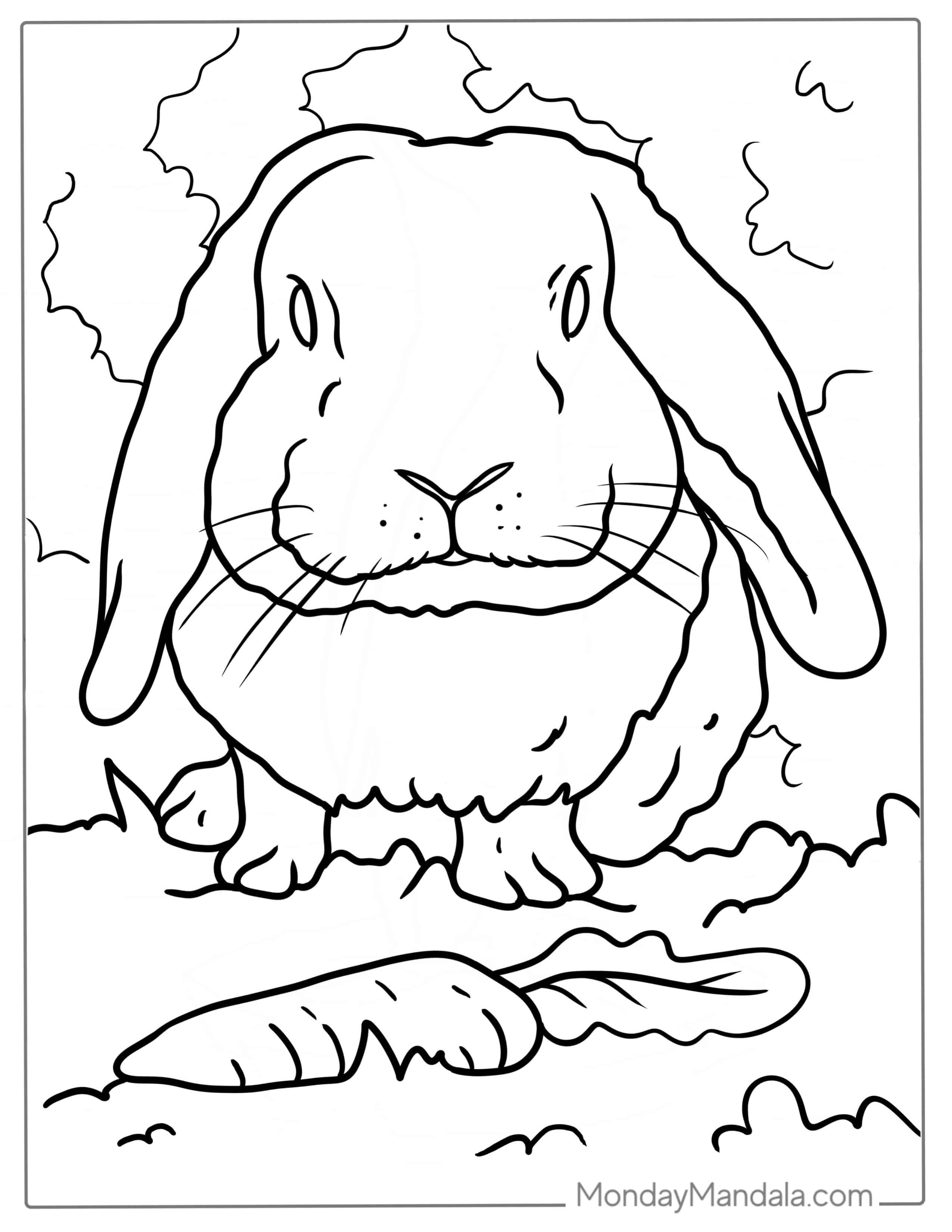 Flop Eared Rabbit Eating Carrot Coloring Picture coloring page — printable line art