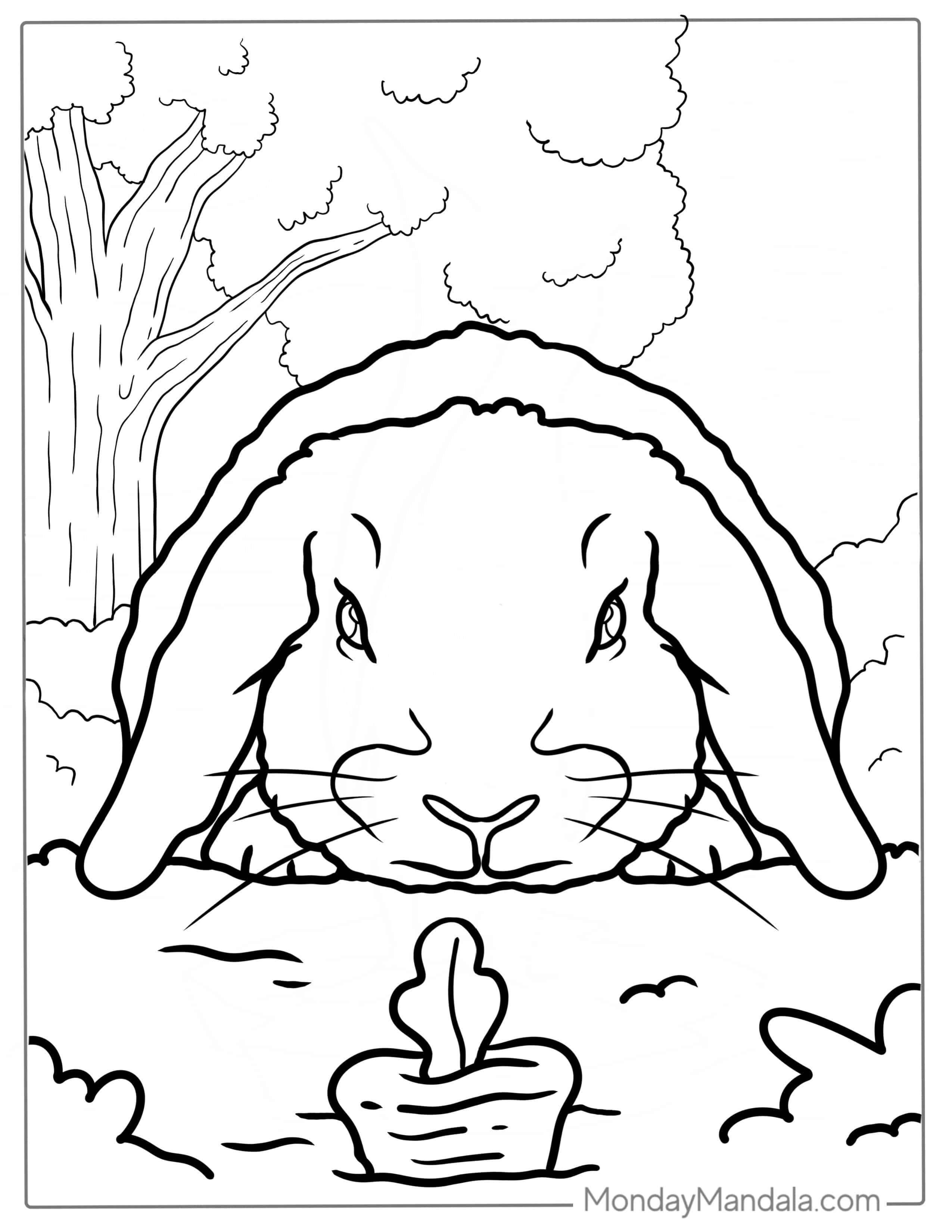 Lop Eared Rabbit Looking At Carrot Coloring coloring page