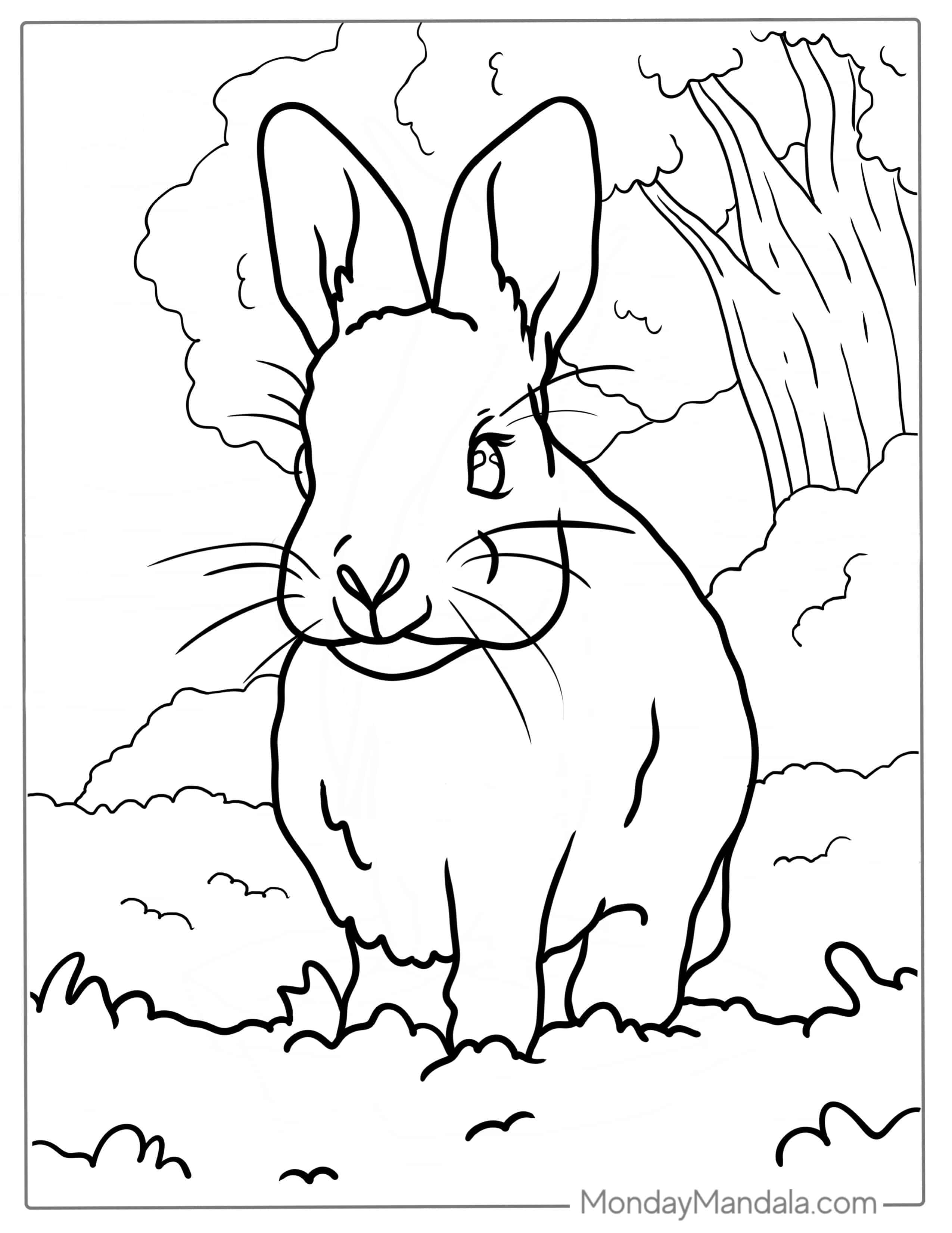 Simple Outline Of Realistic Rabbit coloring page