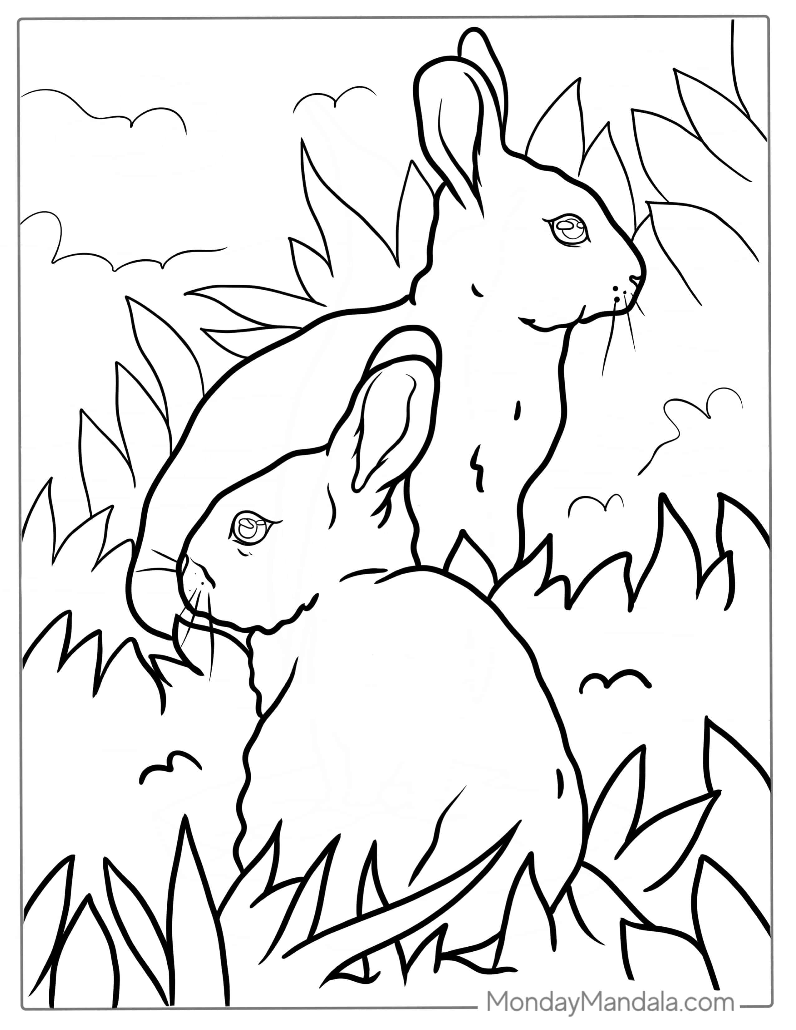 Two Rabbits Standing In Grass coloring page
