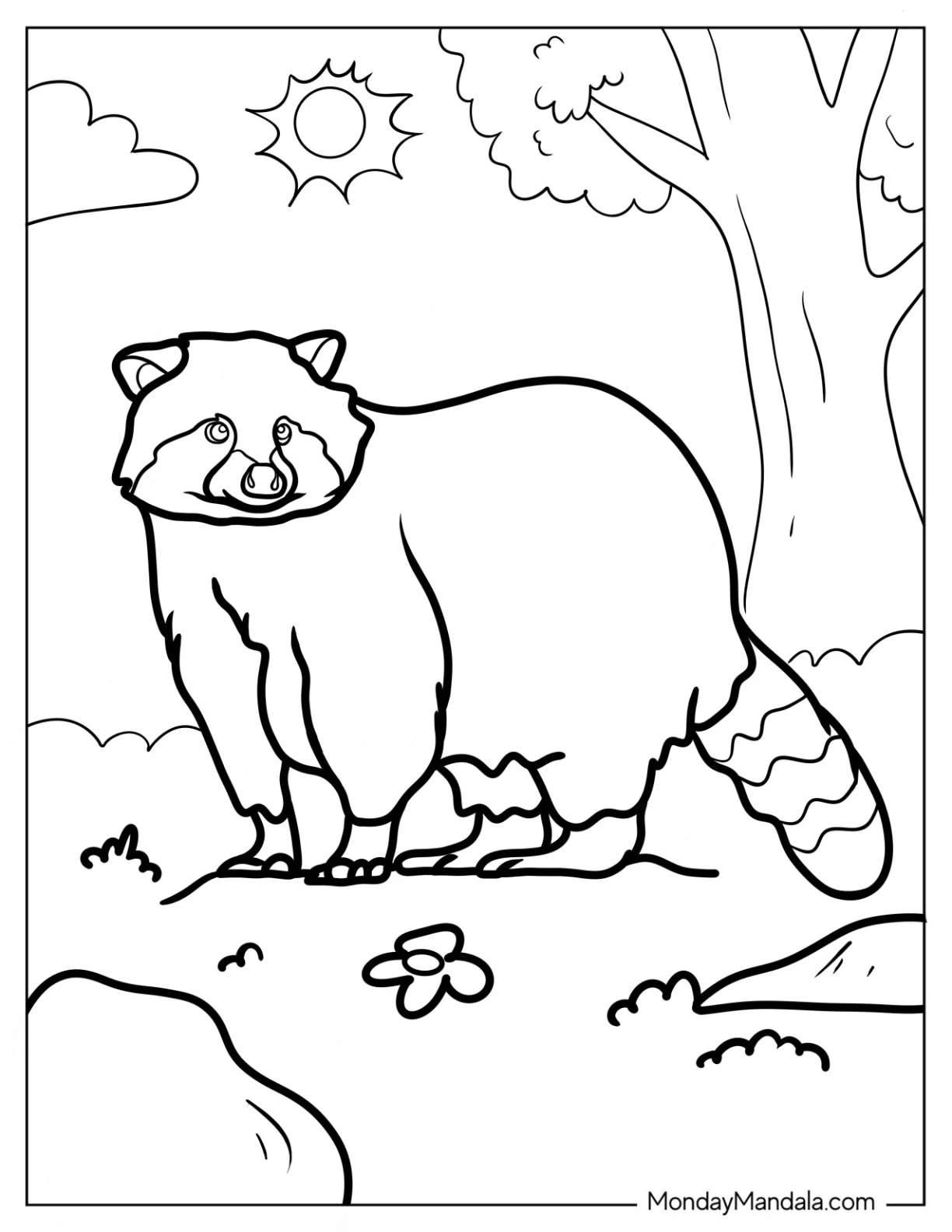 Adult Raccoon Coloring Page In A Forest coloring page