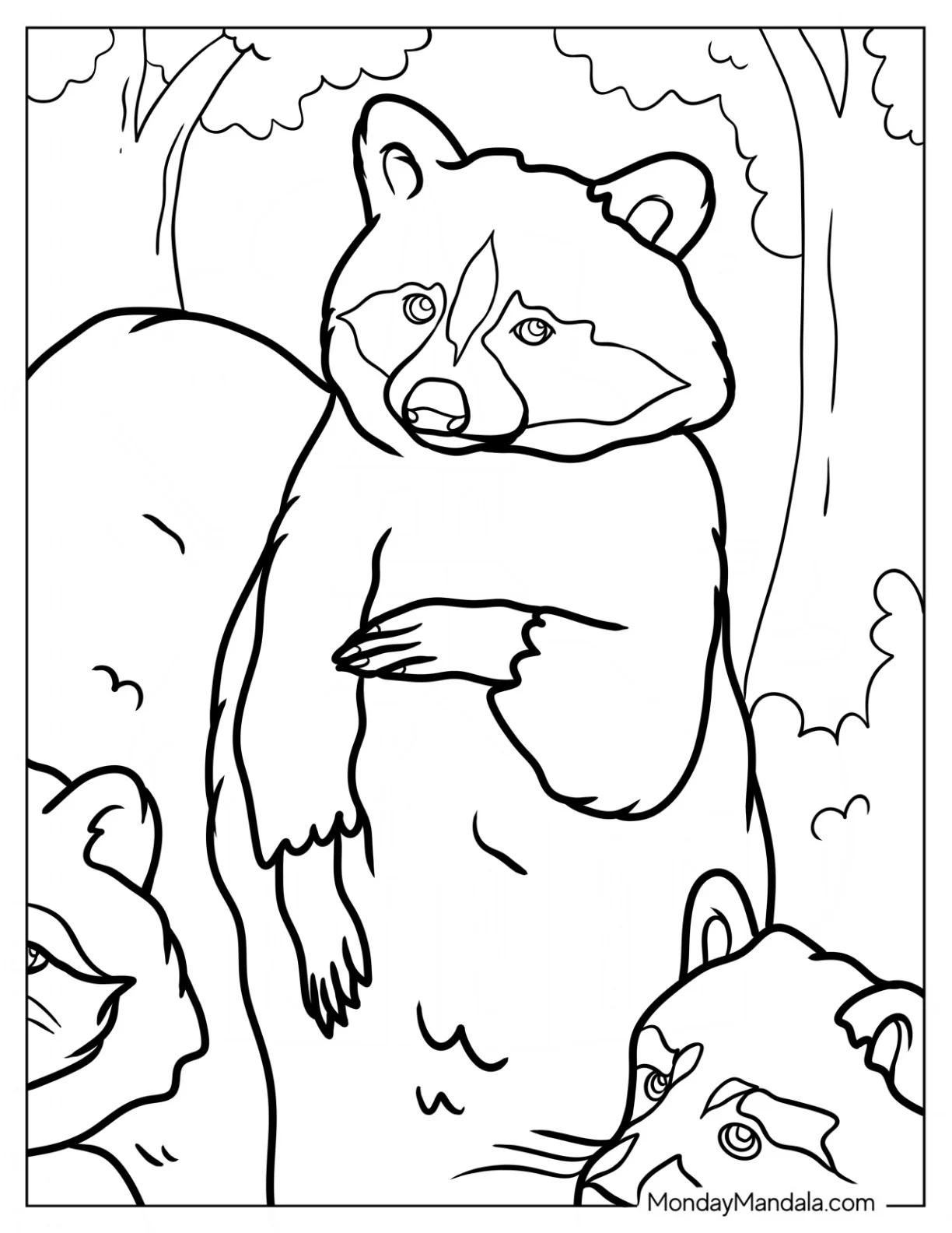 Large Realistic Raccoon Coloring Page coloring page — printable line art