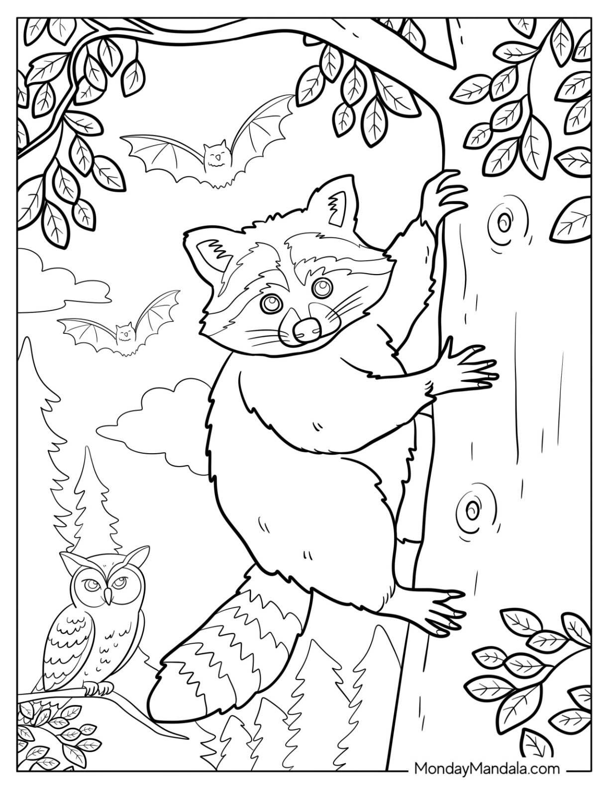 Realistic Raccoon Coloring Page Climbing Tree with Owl and Bats in the Background coloring page