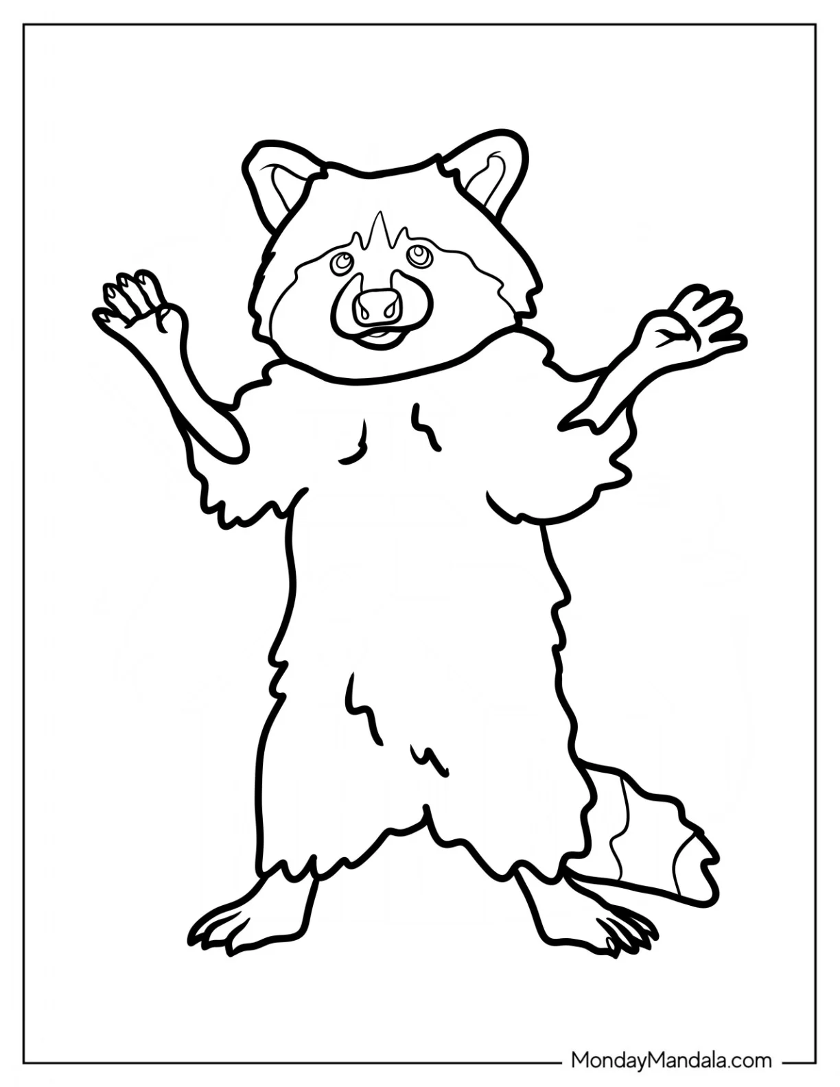 Realistic Raccoon Coloring Page Standing For Kids coloring page