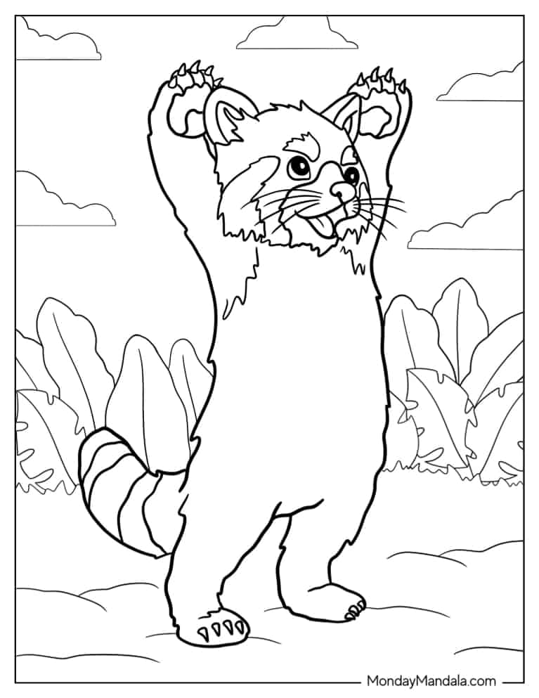 Adorable Red Panda With Hands Raised coloring page — printable line art
