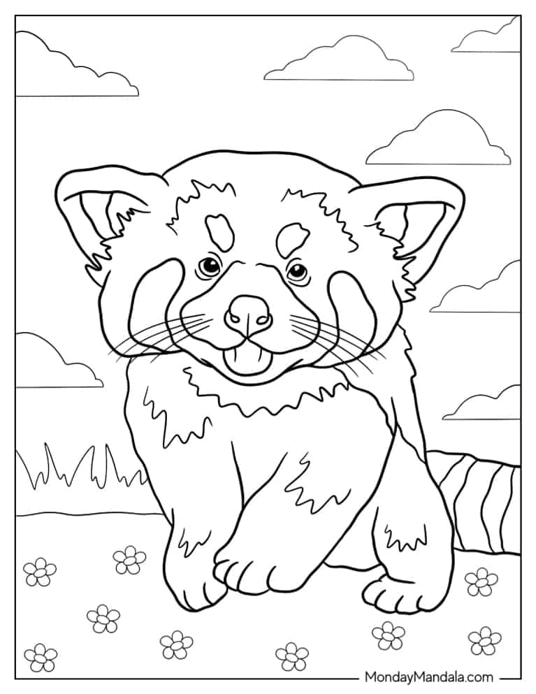 Cute Red Panda To Color coloring page — printable line art