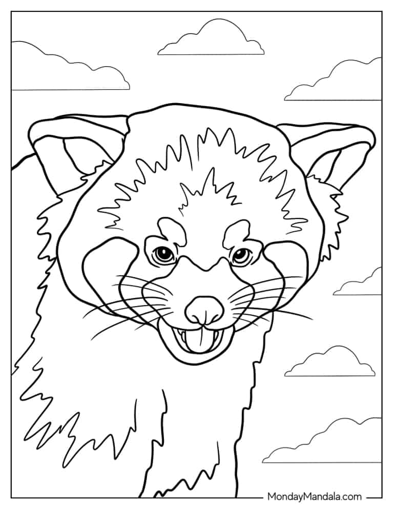 Realistic Red Panda Face Coloring Page coloring page — printable line art