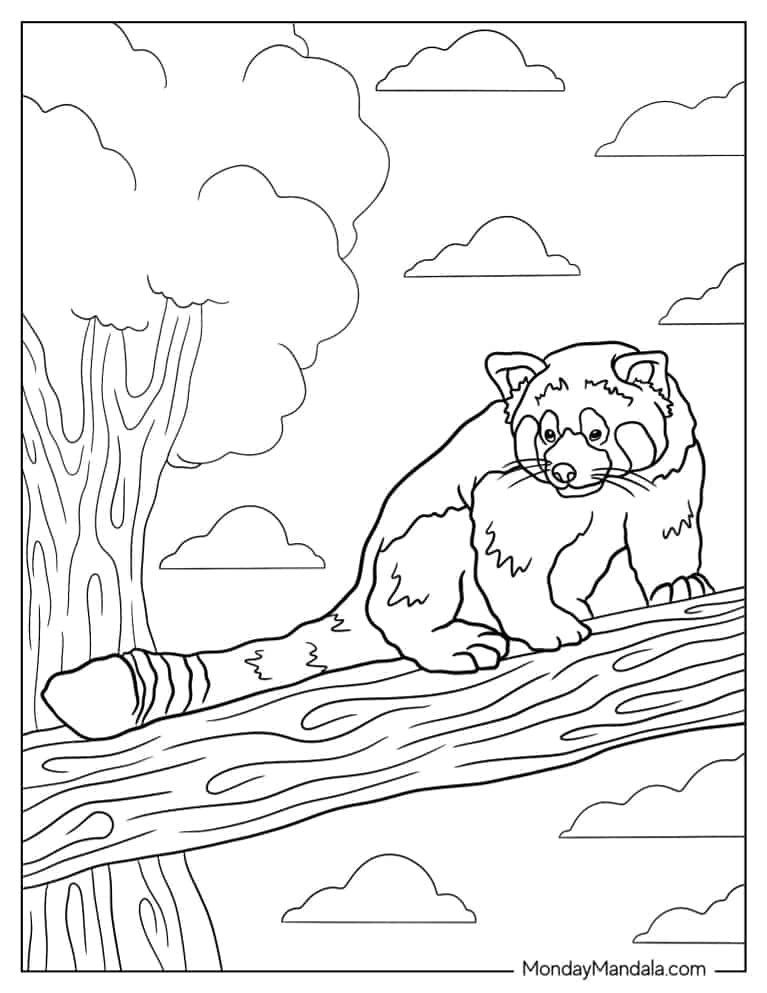 Red Panda In Tree Coloring Page For Kids coloring page — printable line art