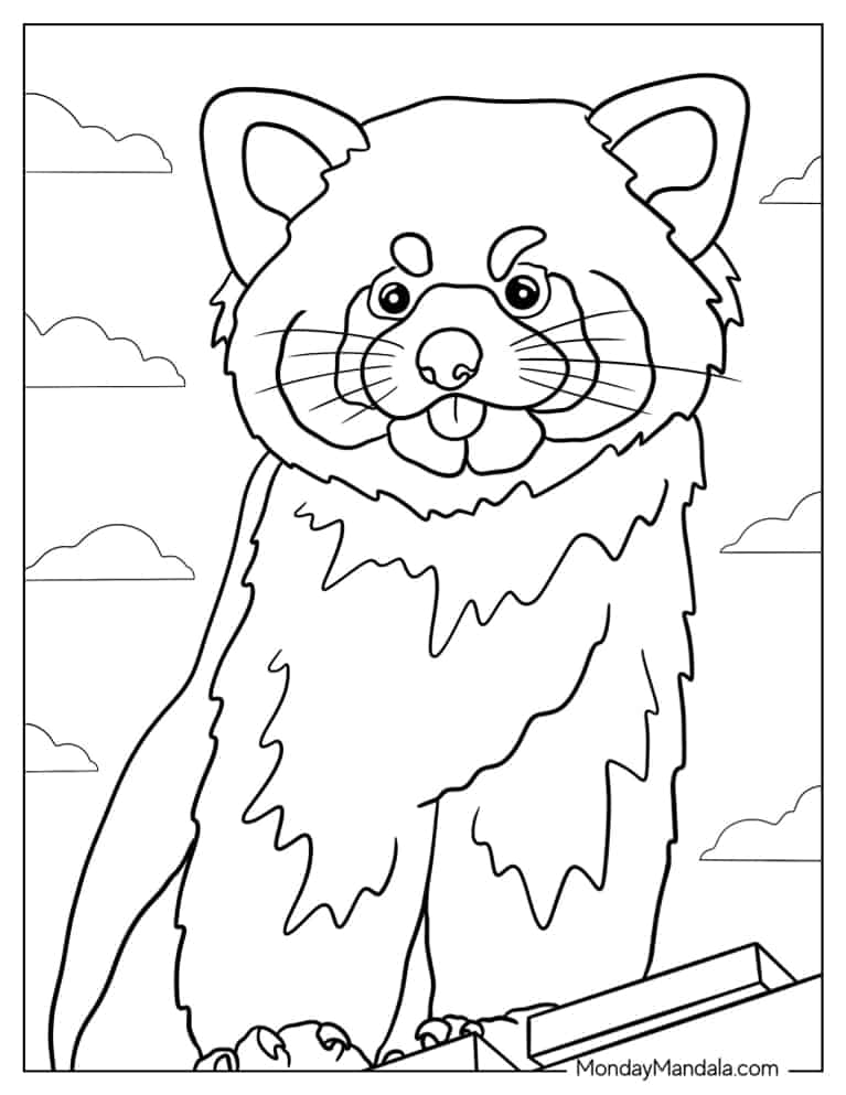 Red Panda Poking Its Tongue Out coloring page