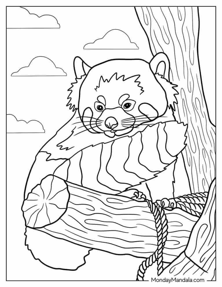 Red Panda Sitting In Tree To Color coloring page