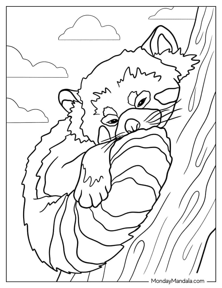 Red Panda Sleeping In Tree coloring page