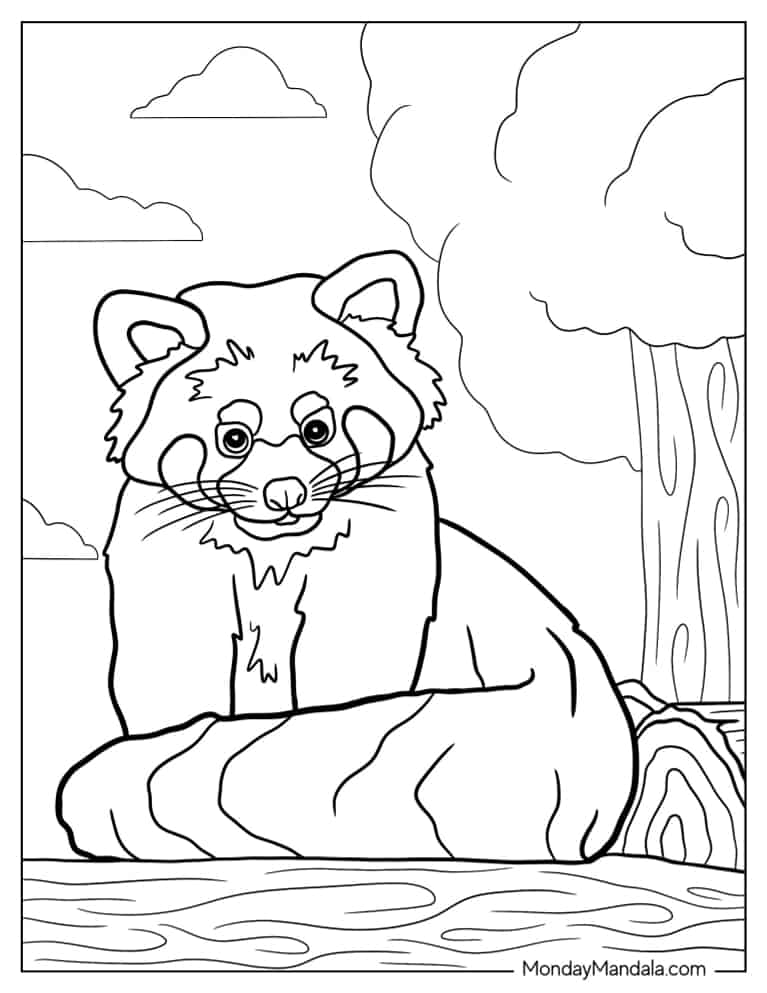 Red Panda With Tailed Wrapper Around coloring page