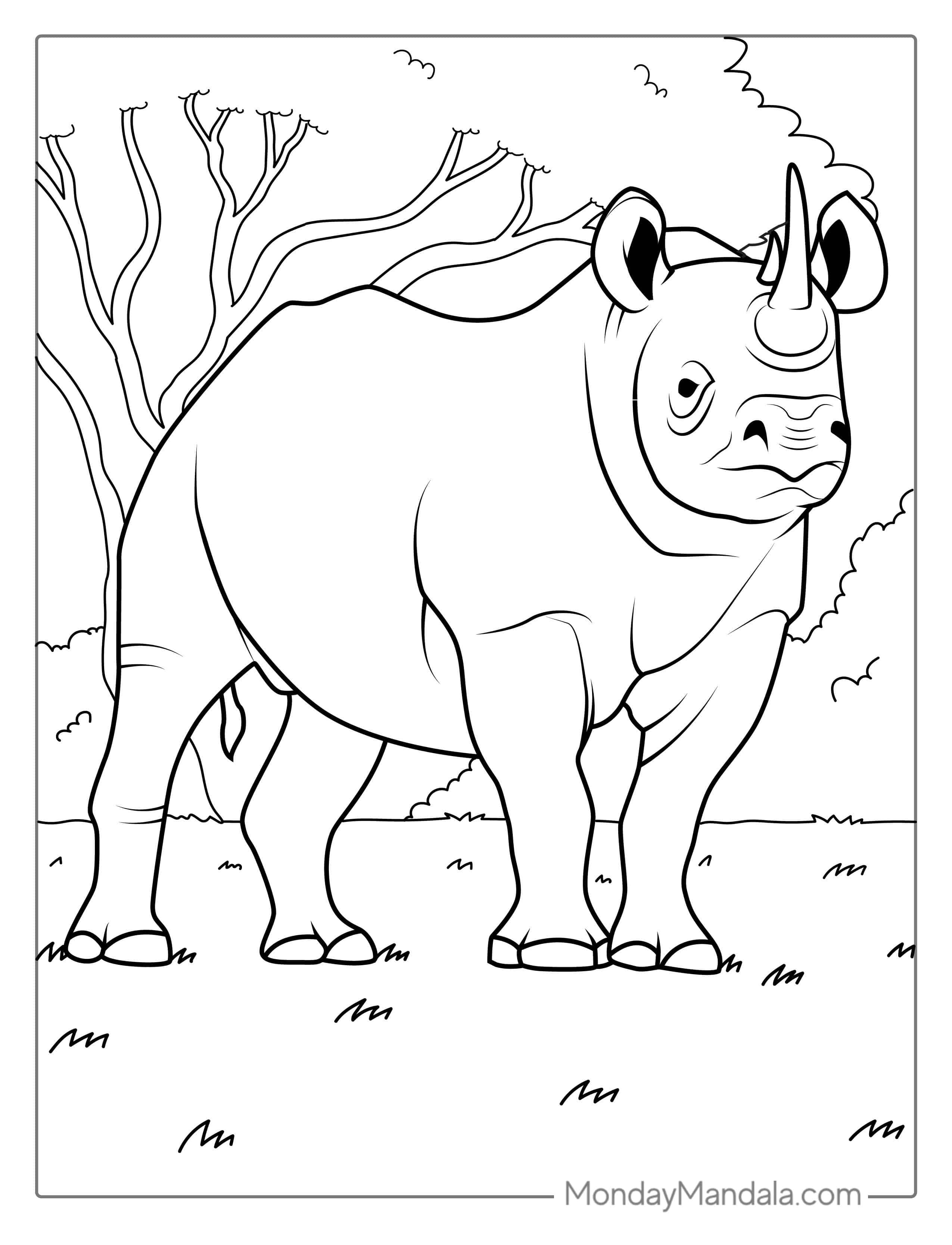 Detailed White Rhinoceros To Color coloring page