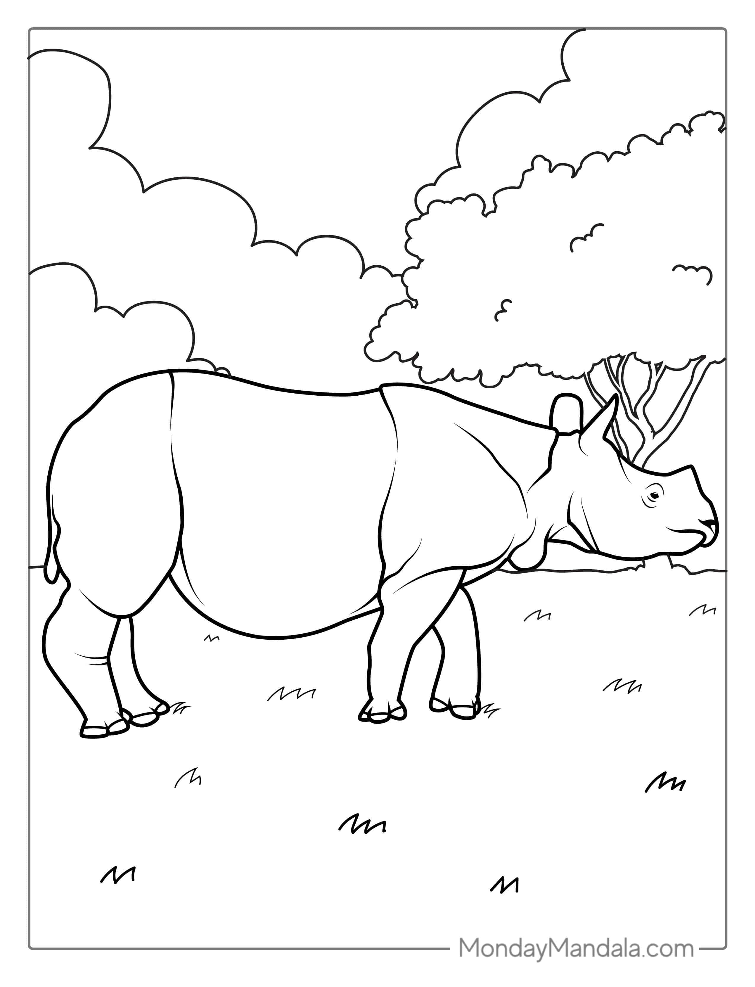 Indian Rhino Coloring Page coloring page — printable line art
