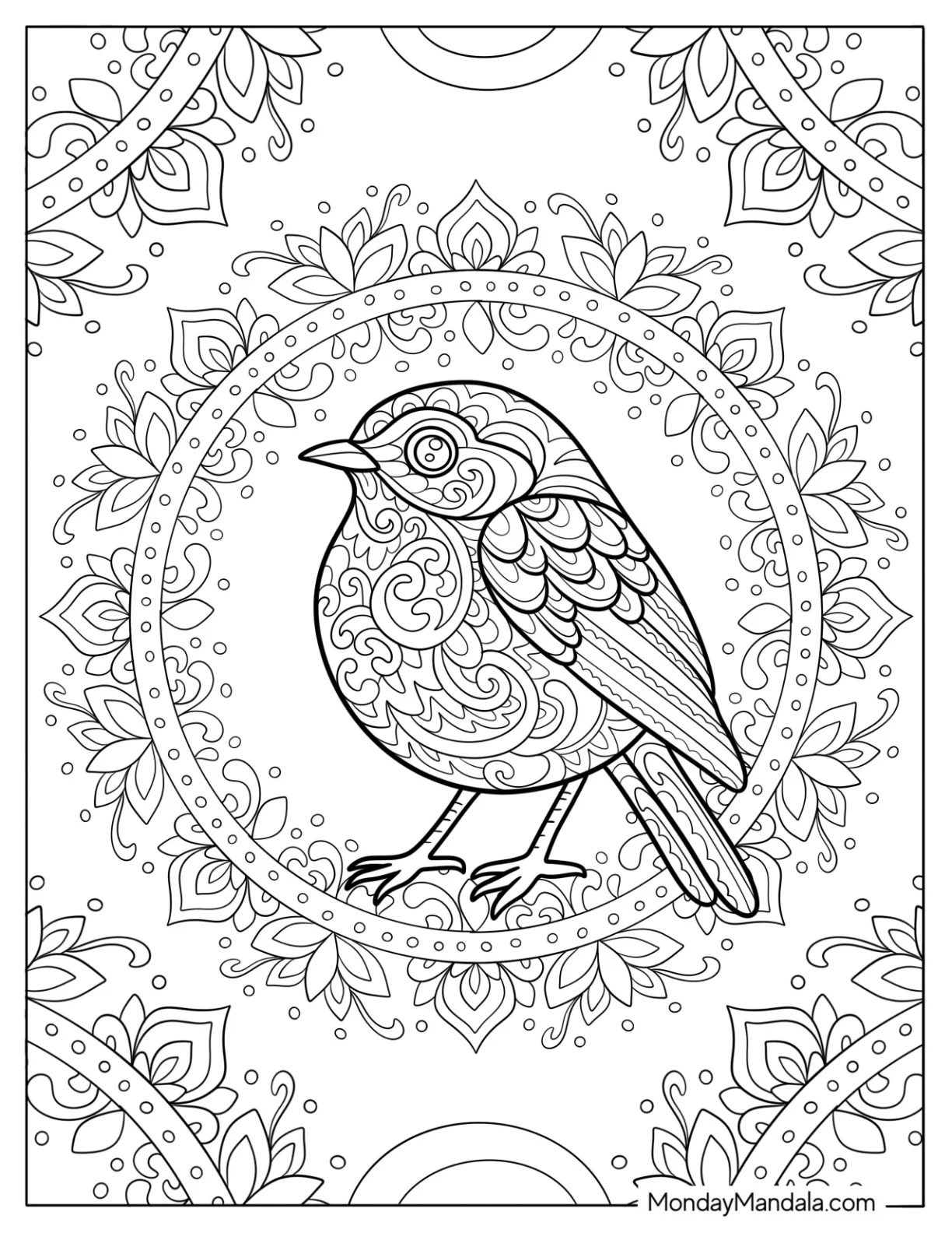 Intricate Robin Coloring Page in Mandala Design Surrounded by Petals and Swirls coloring page — printable line art