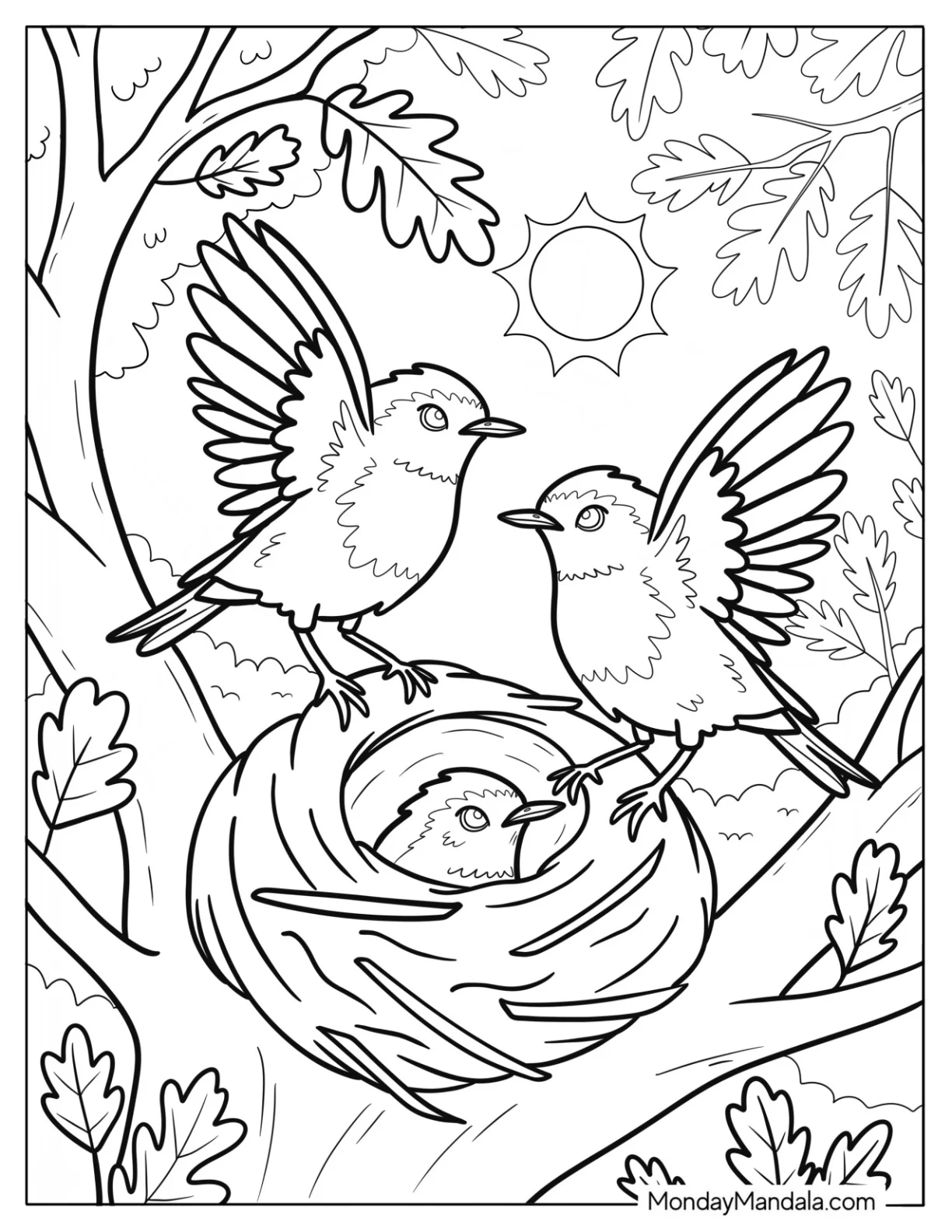 Robin Coloring Page Family Feeding Chick in Nest on Sunny Day coloring page — printable line art