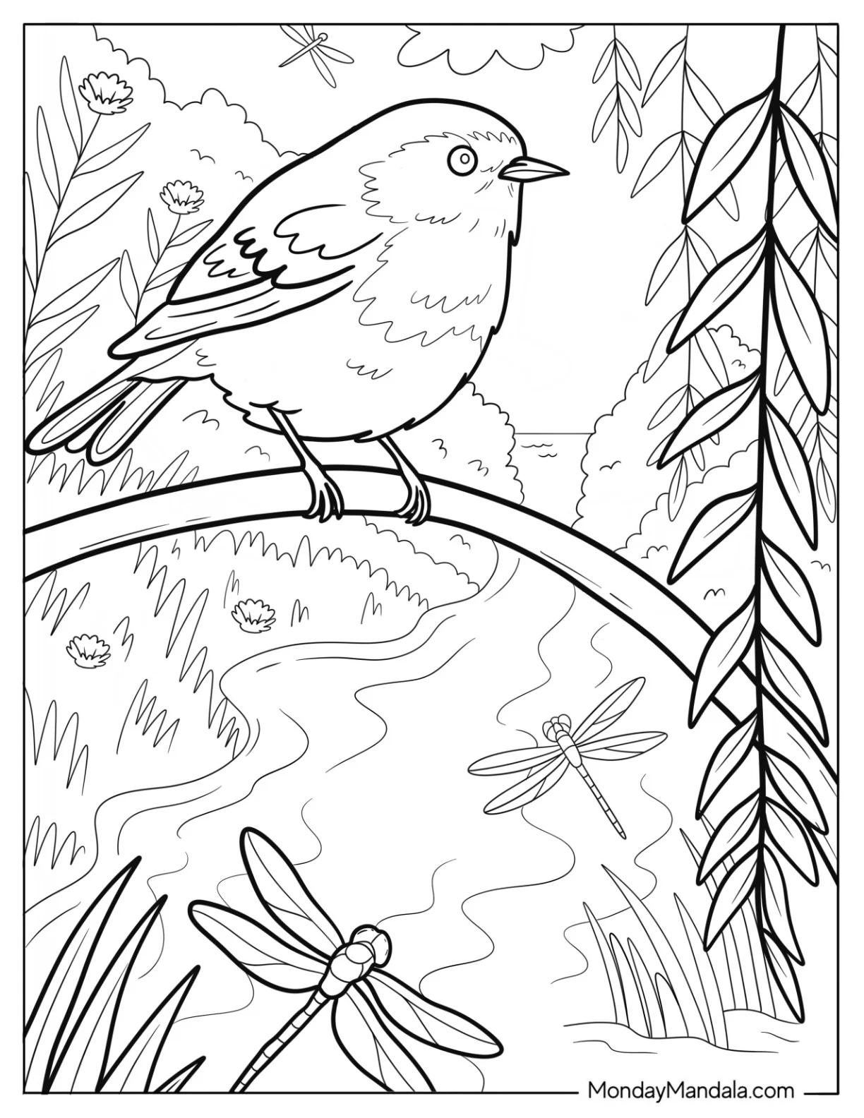 Robin Coloring Page on Branch Overlooking River with Dragonflies and Wildflowers coloring page — printable line art
