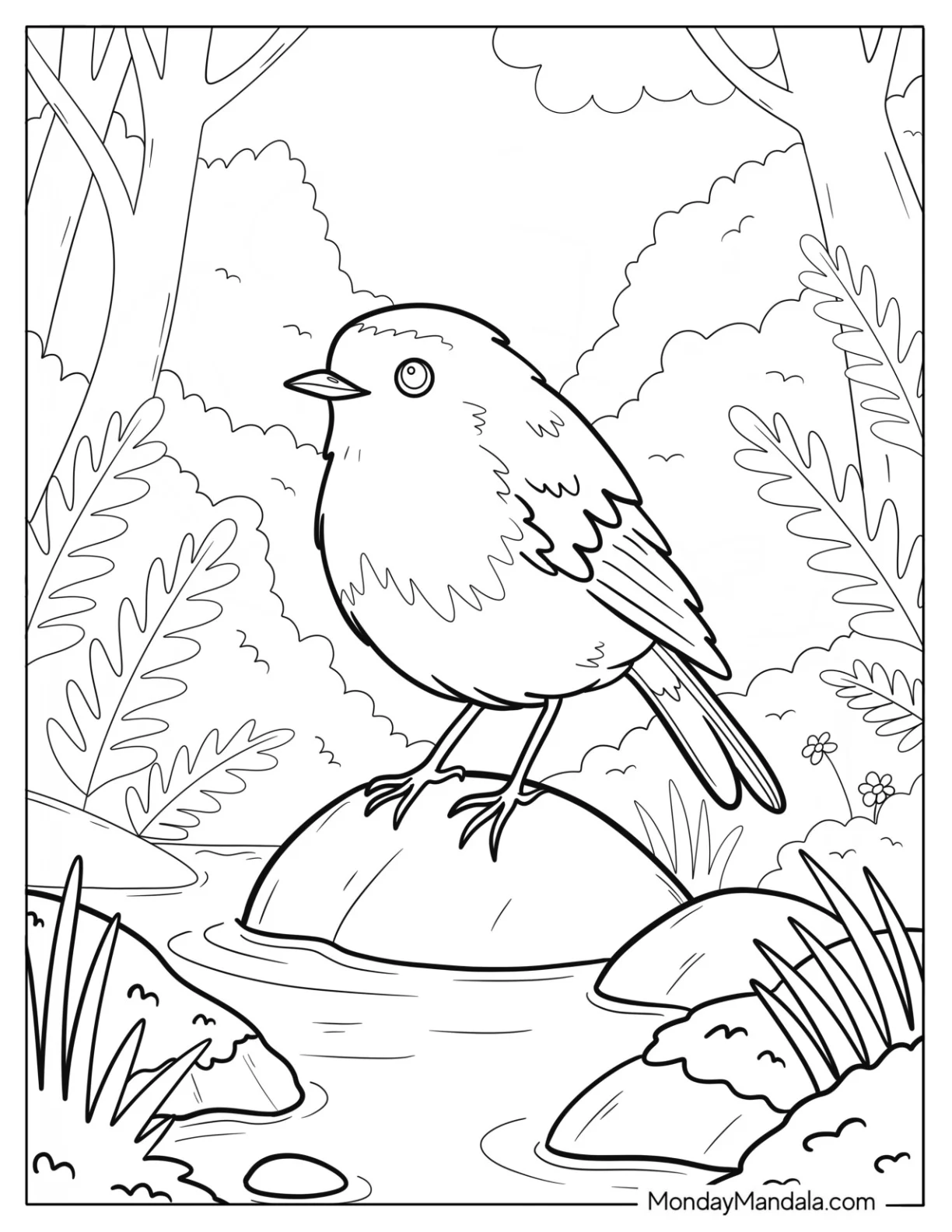 Robin Coloring Page Standing on Rock in Forest Creek Surrounded by Ferns and Trees for Kids coloring page