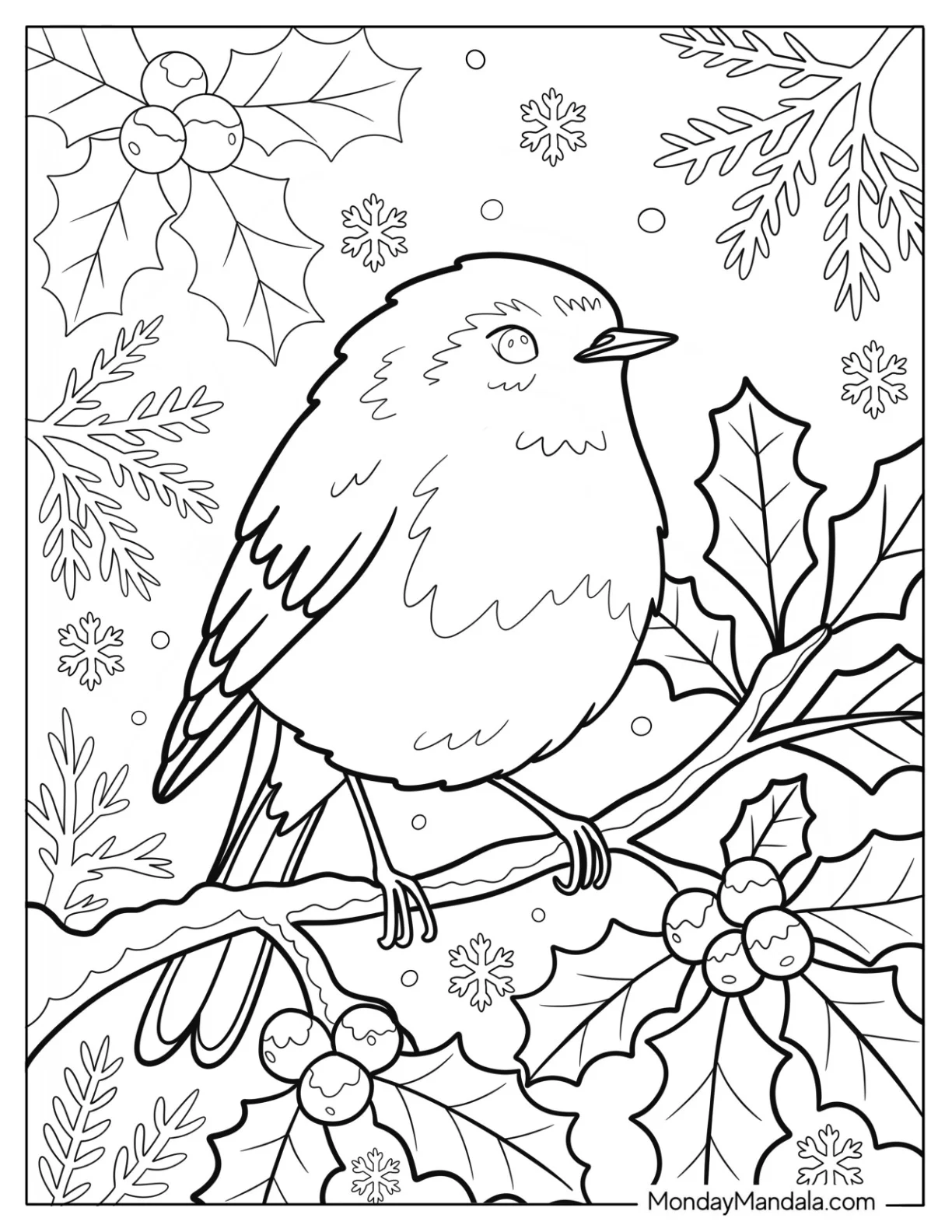 Winter Robin Coloring Page on Holly Branch with Snowflakes and Pine Leaves coloring page — printable line art