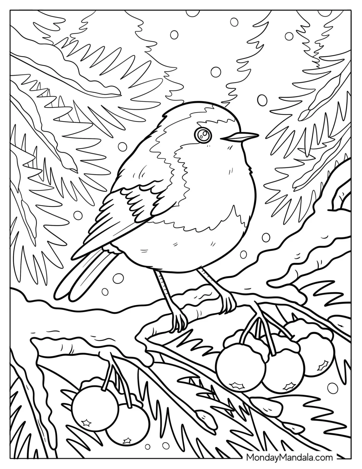 Winter Robin Coloring Page on Snowy Pine Branch with Berries and Falling Snow coloring page