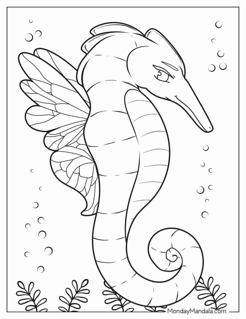 Seahorse With Butterfly Wings coloring page