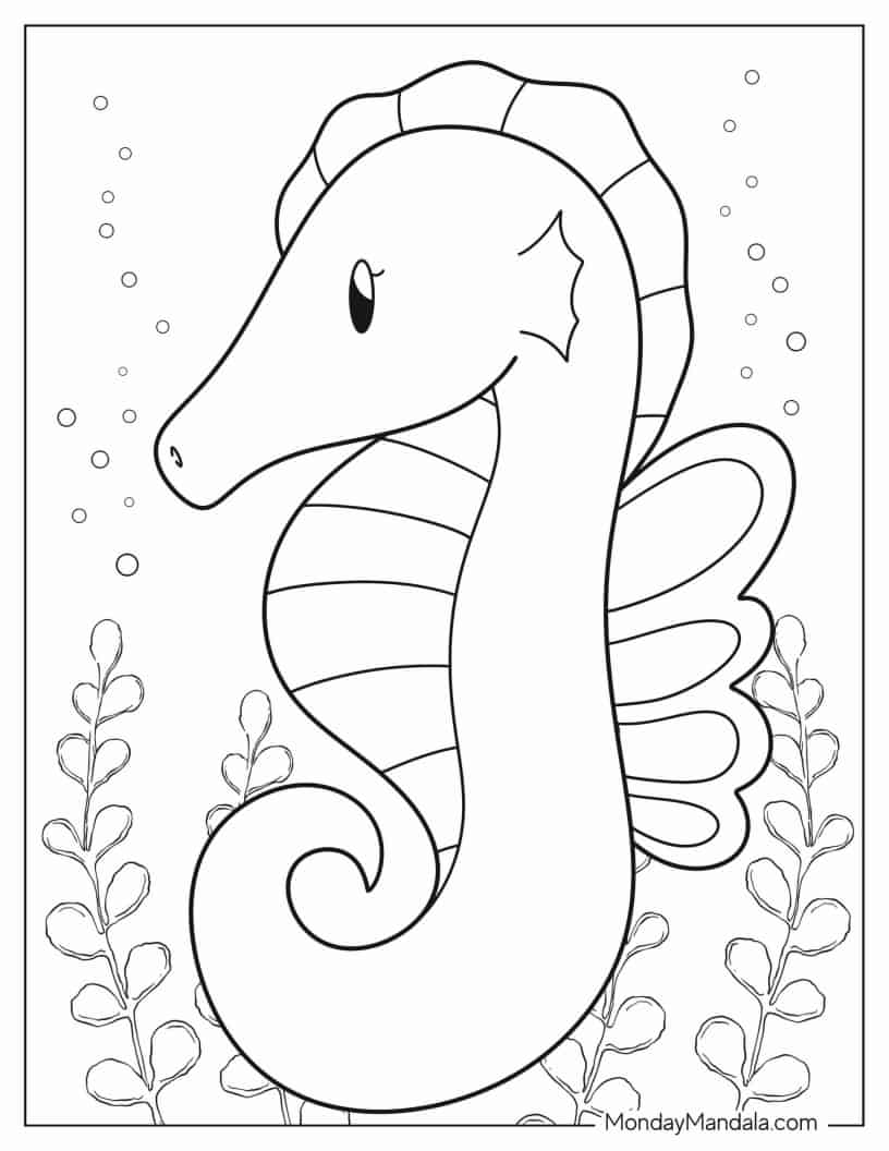 Simple Outline Of a Seahorse For Preschoolers coloring page