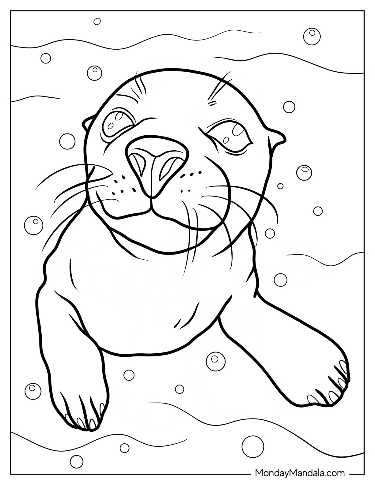 Close Up Of Seal Coloring Page coloring page