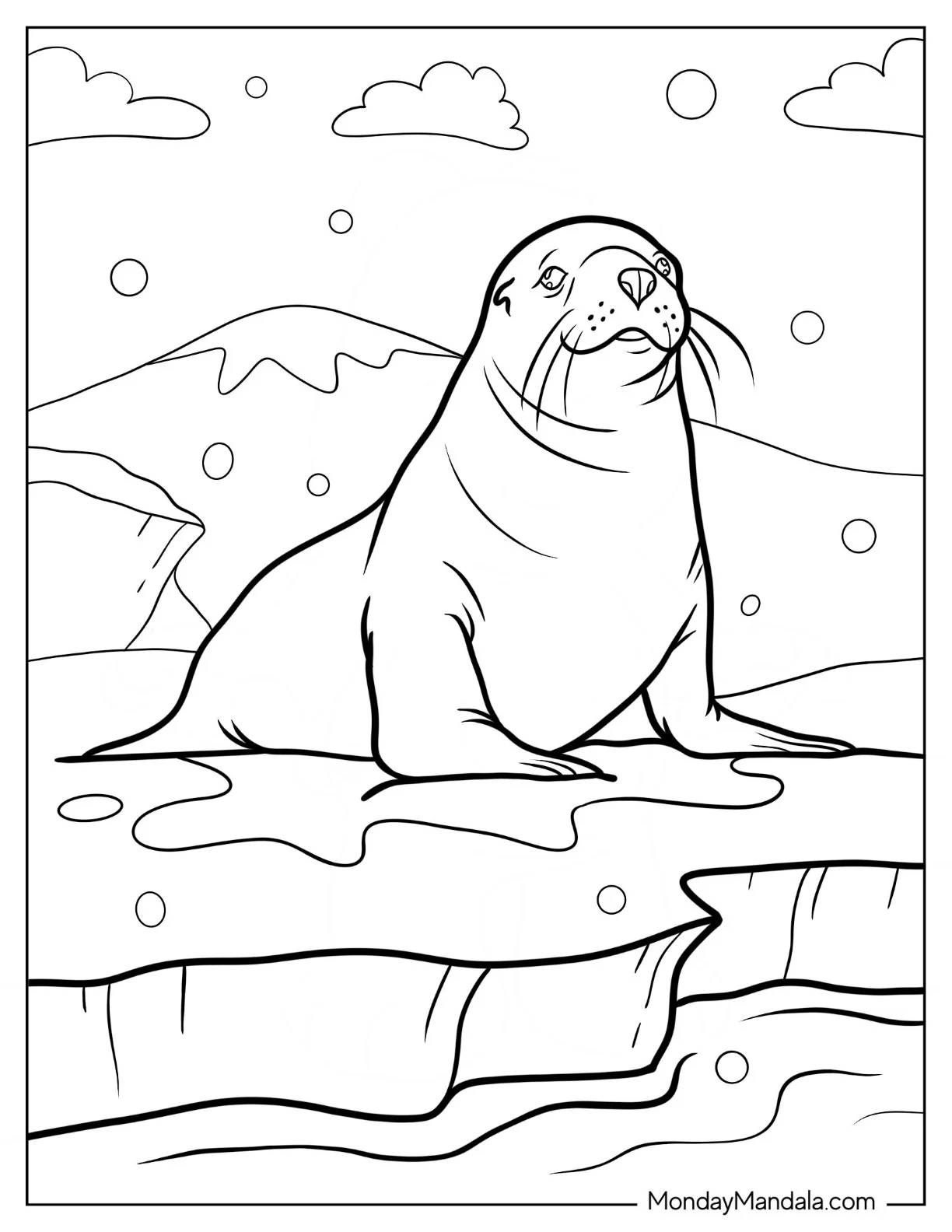 Realistic Seal Coloring Page Looking Up At The Sky coloring page