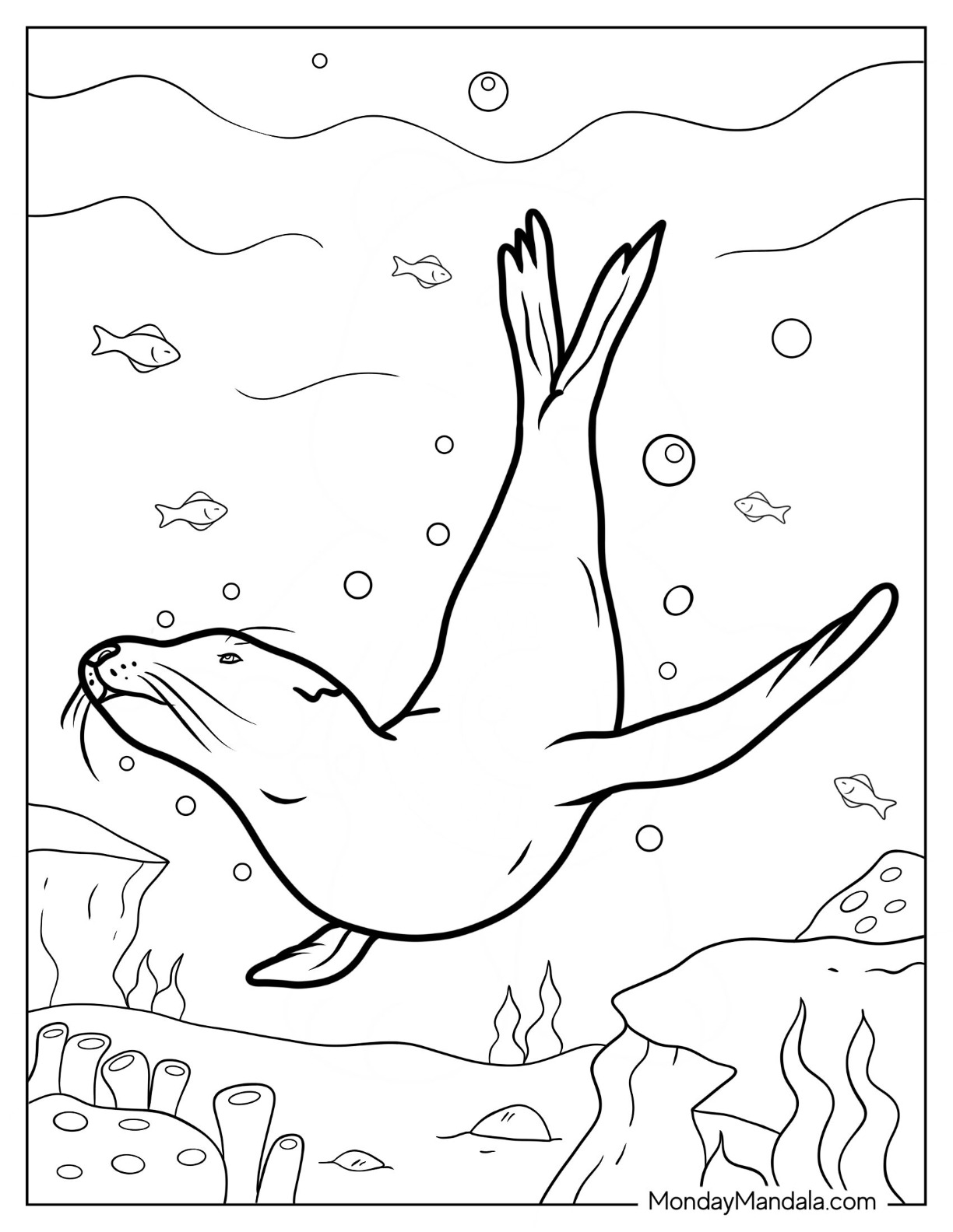Seal Coloring Page Diving In The Water coloring page