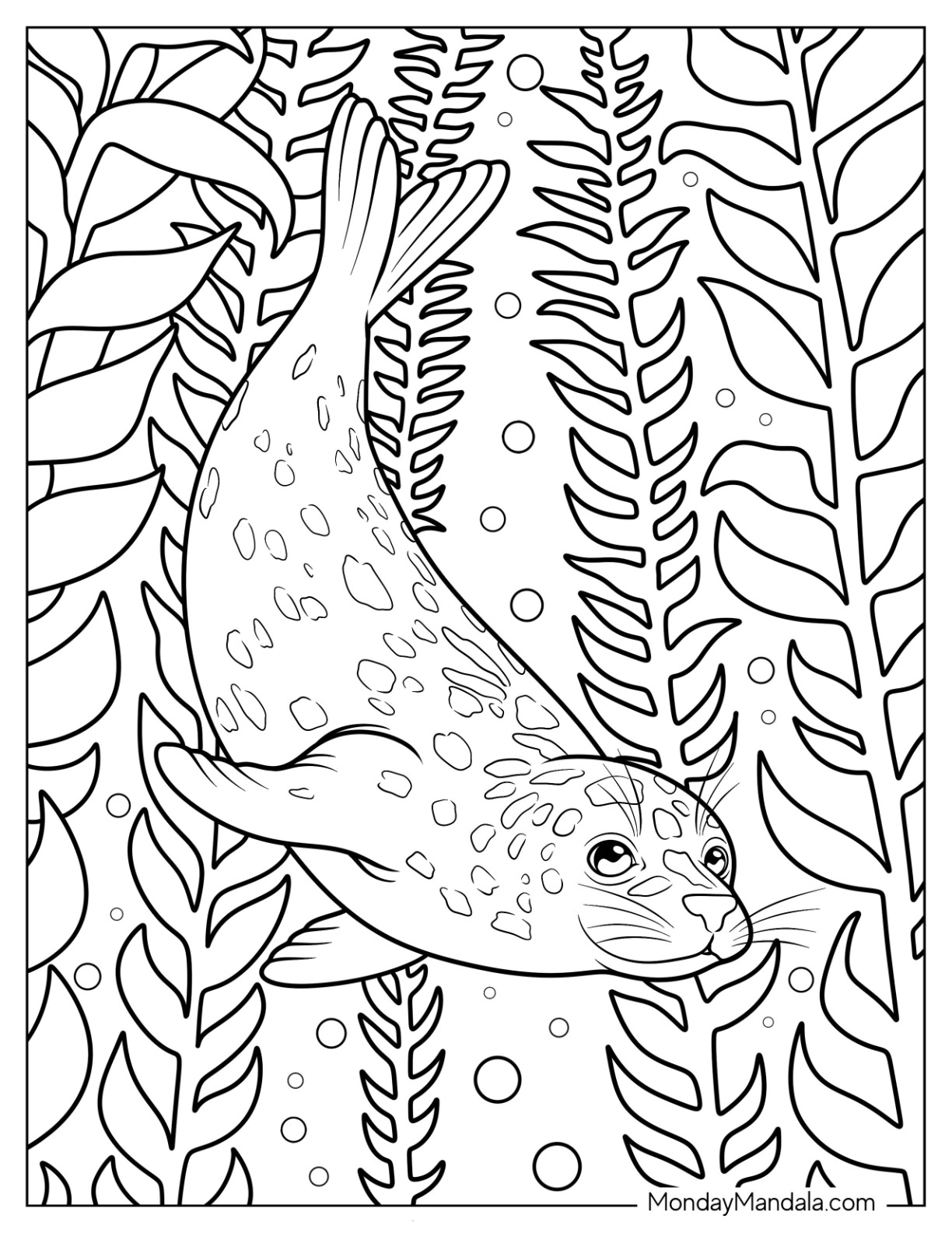 Spotted Seal Coloring Page Diving Deep Underwater coloring page — printable line art