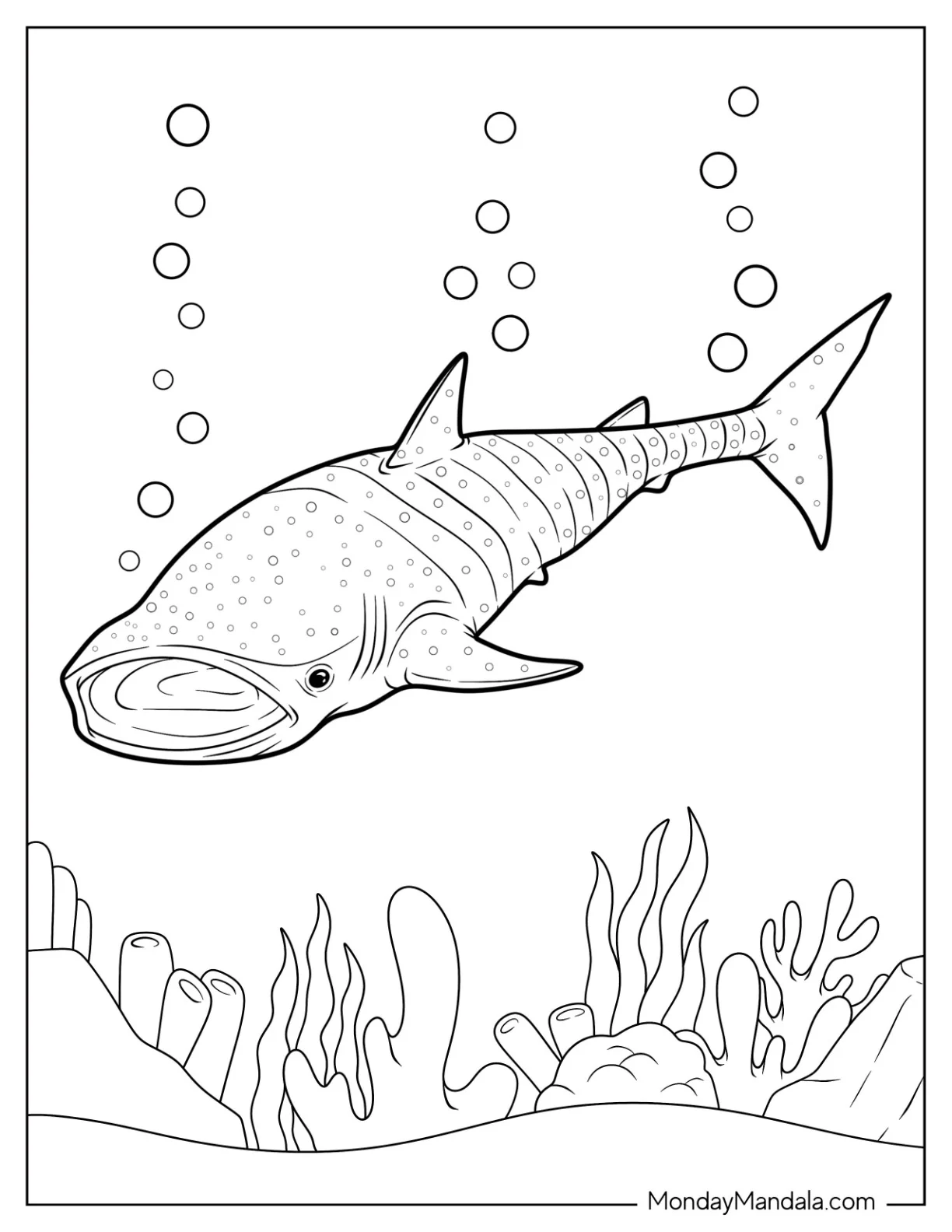 Detailed Whale Shark Coloring Page coloring page — printable line art