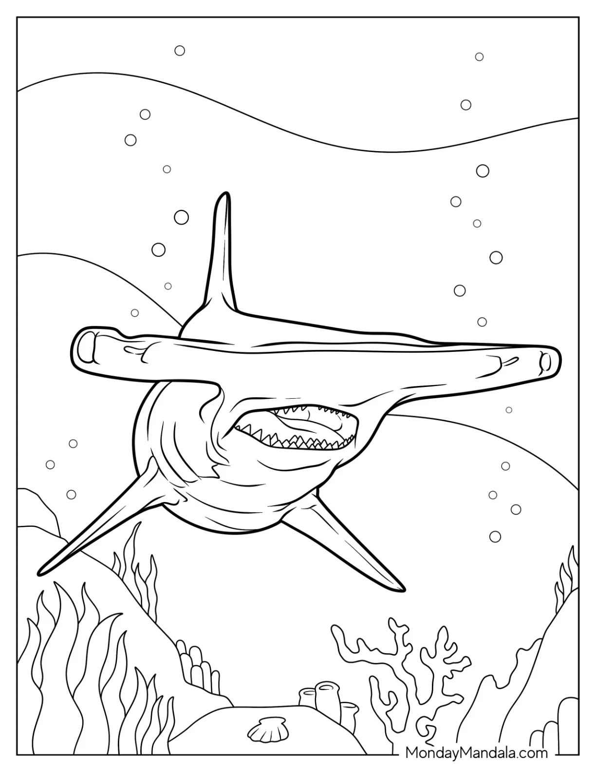 Front View Of Realistic Hammerhead Shark Coloring Page coloring page — printable line art