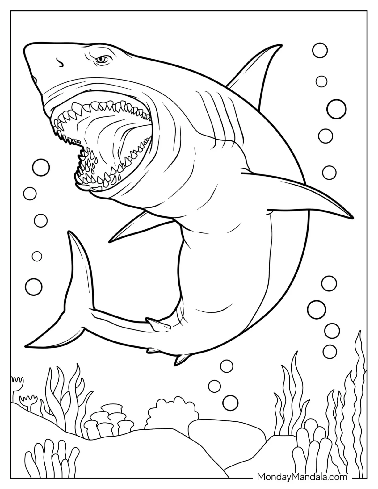 Great White Shark Coloring Page With Mouth Open coloring page — printable line art