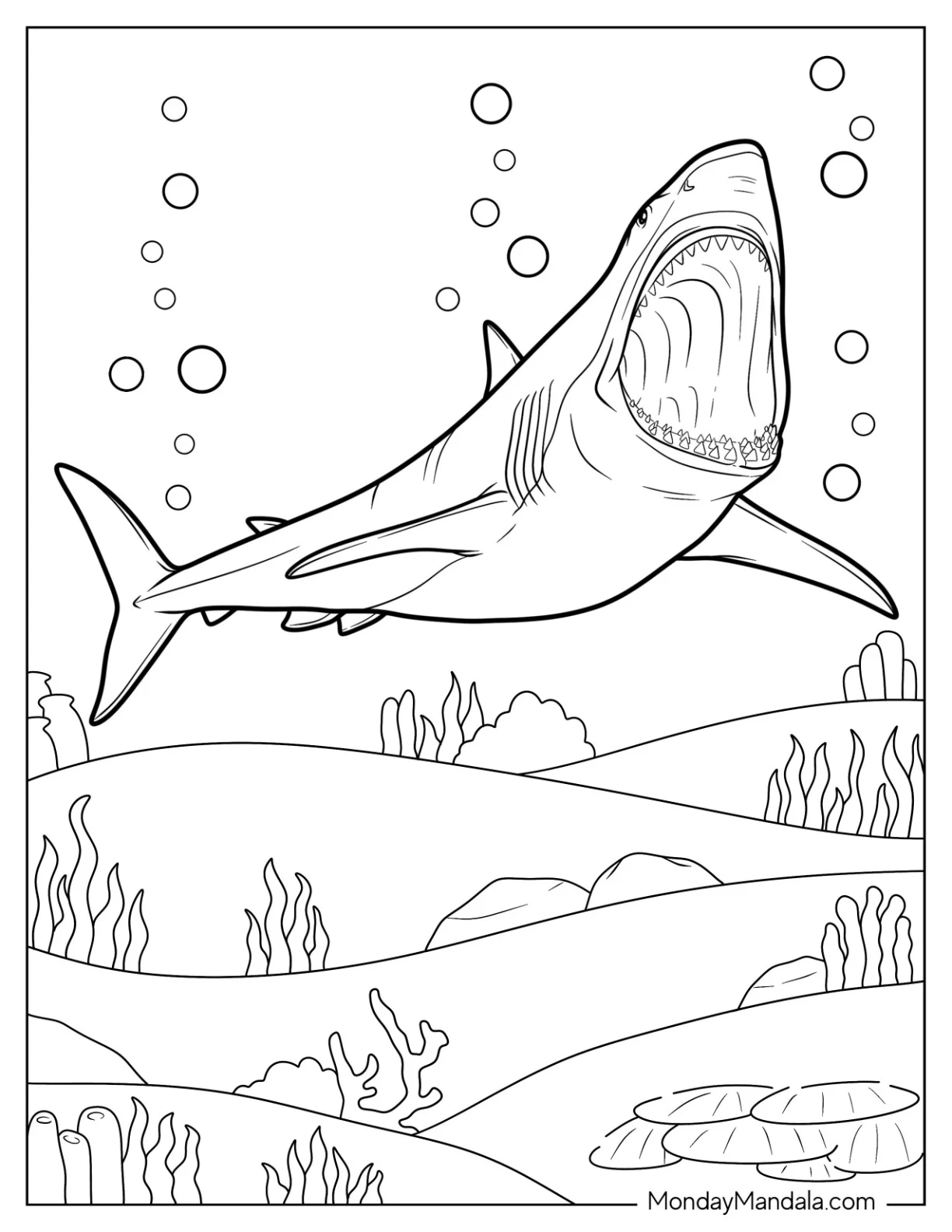 Shark Coloring Page Of Chilling Megalodon Showing Teeth coloring page — printable line art