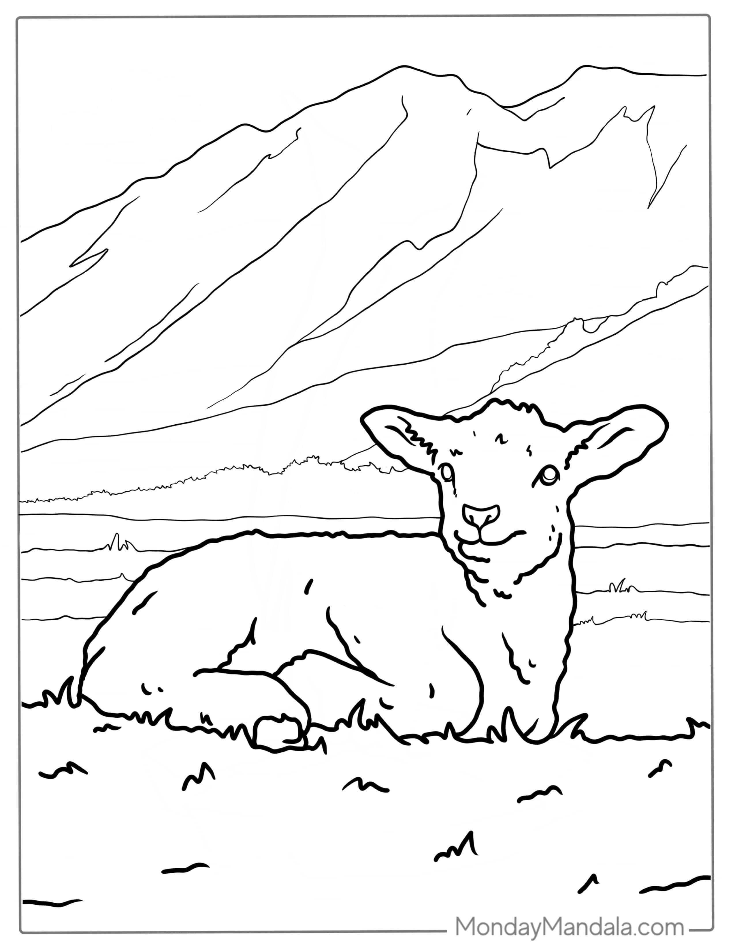Cute Baby Lamb On Country Side Coloring coloring page — printable line art