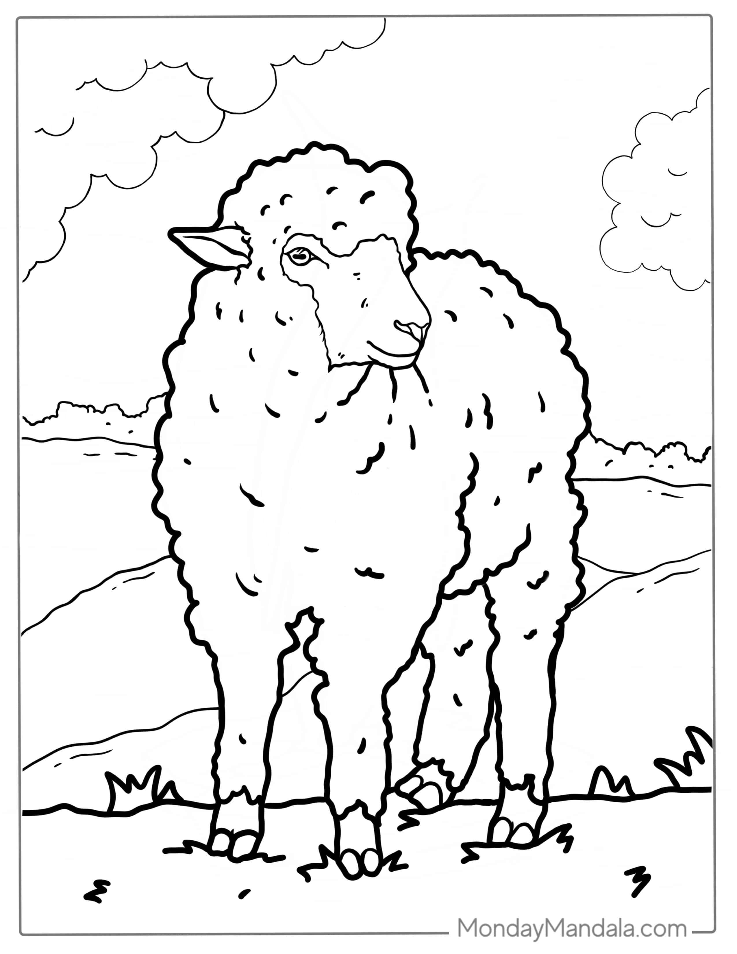 Detailed Adult Sheep Coloring Page coloring page