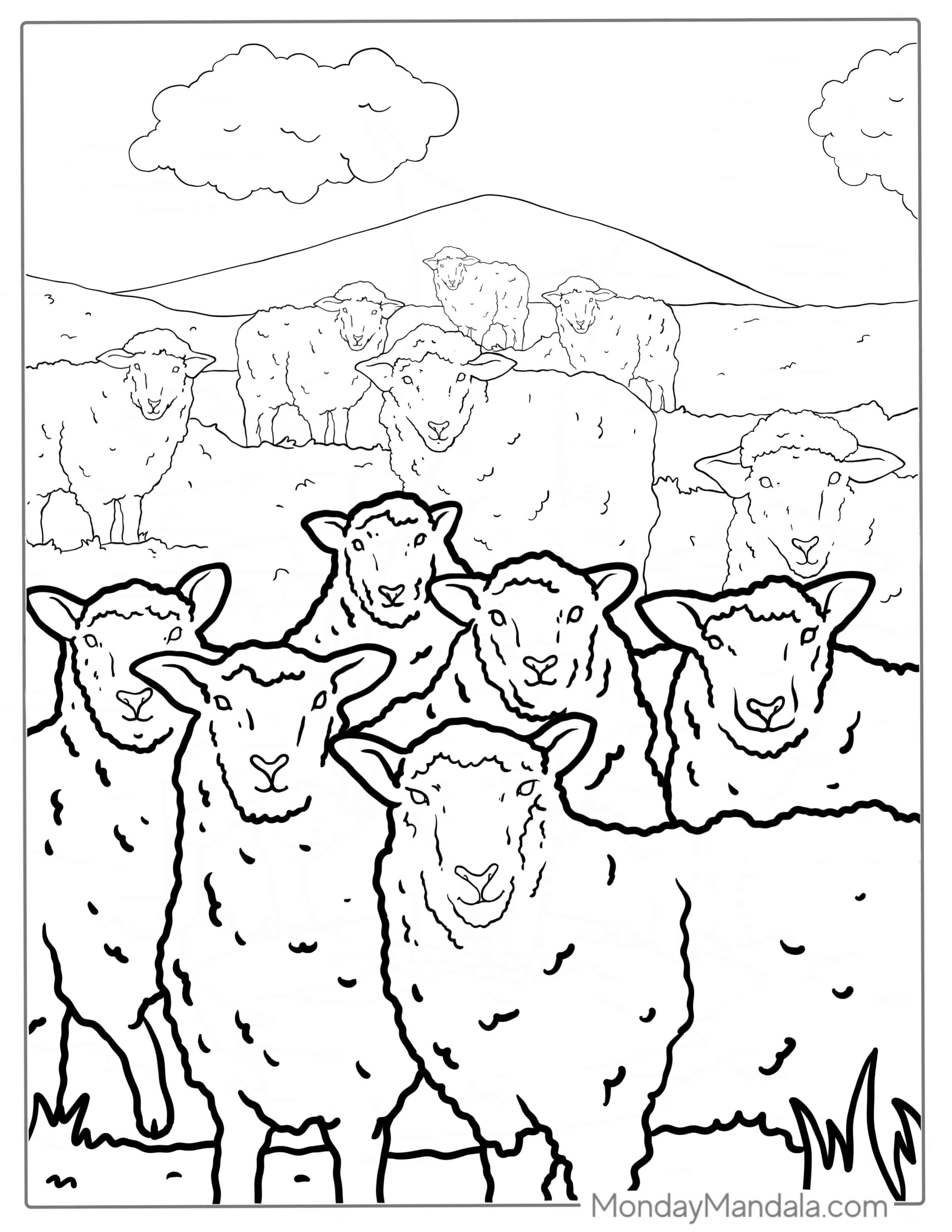 Flock Of Sheep Standing In Paddock Coloring coloring page — printable line art