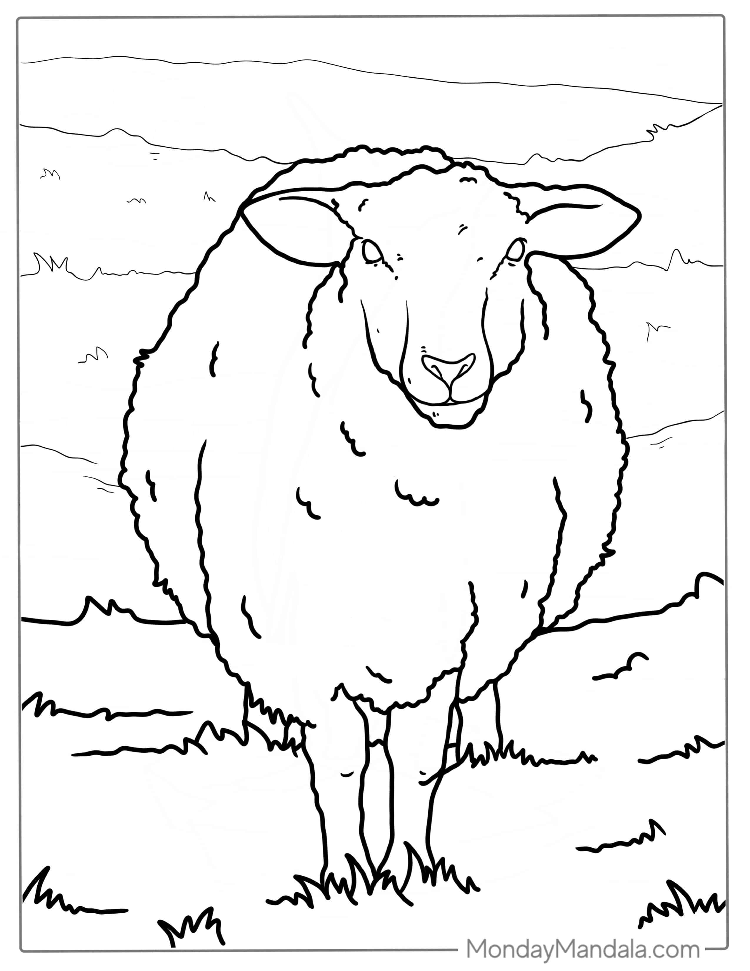 Fluffy Sheep Coloring Page For Kids coloring page — printable line art