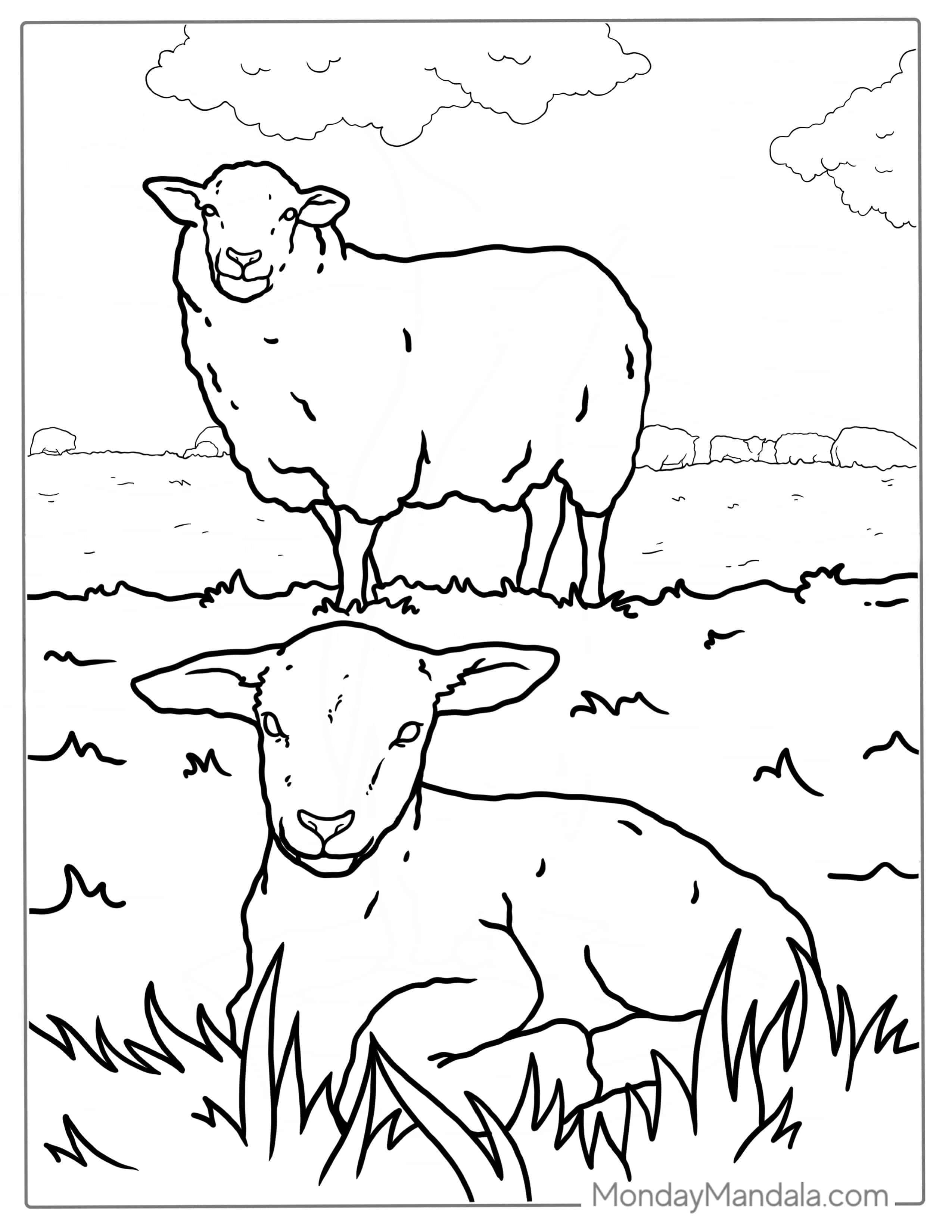 Mother Sheep And Lamp On Grass Coloring coloring page — printable line art
