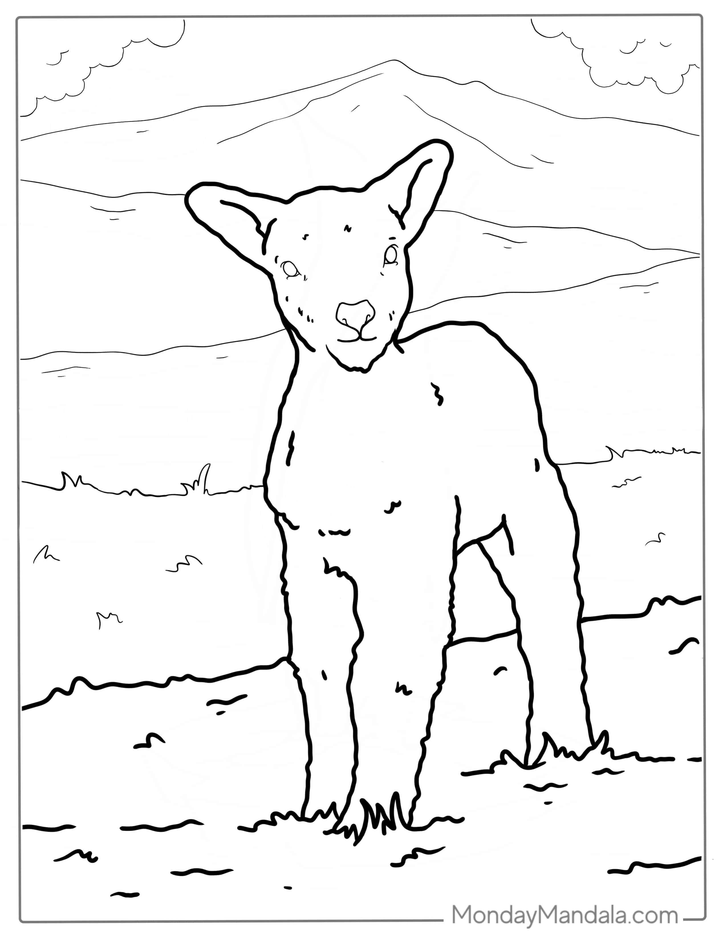 New Born Lamb Standing In Field Coloring coloring page — printable line art