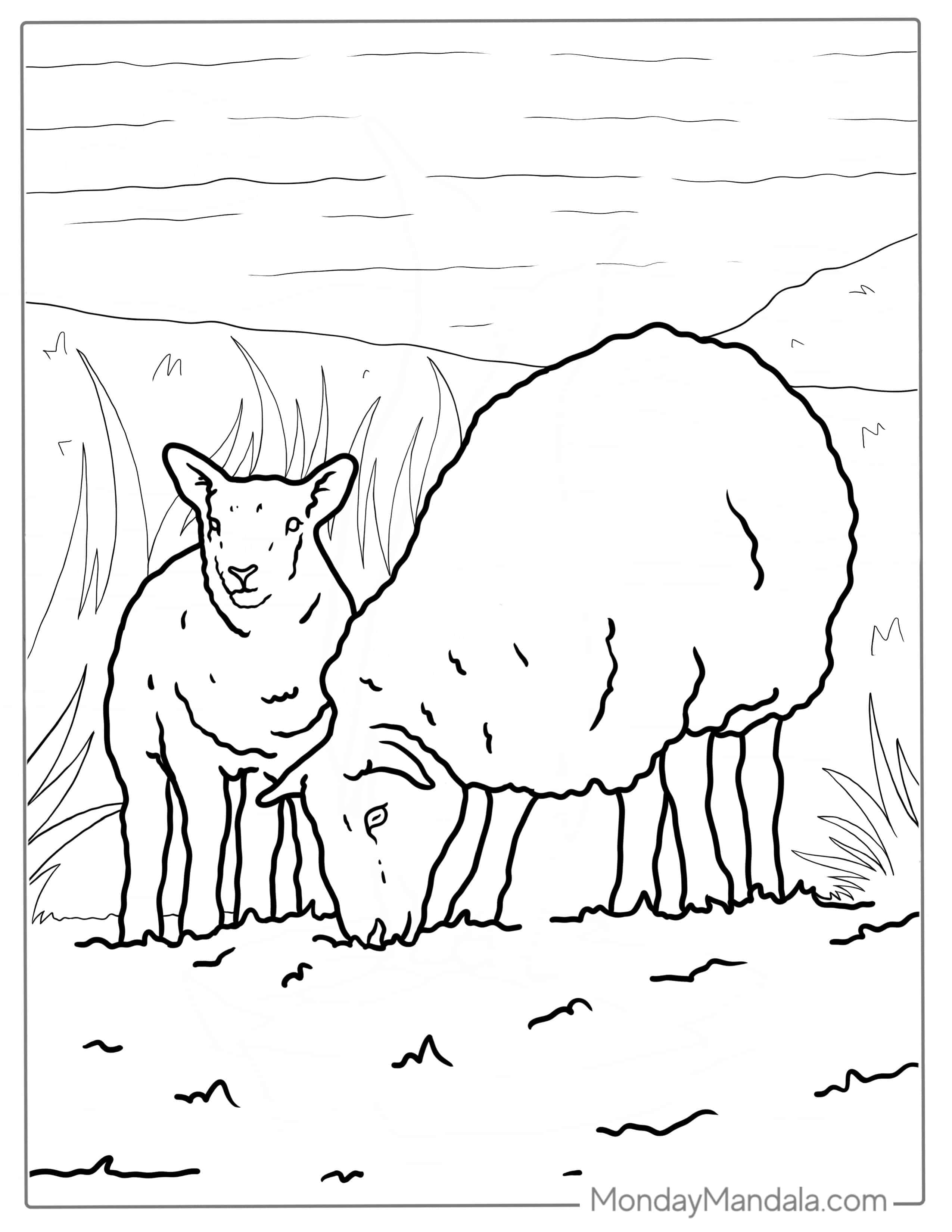 Sheep And Baby Lamb Coloring For Kids coloring page